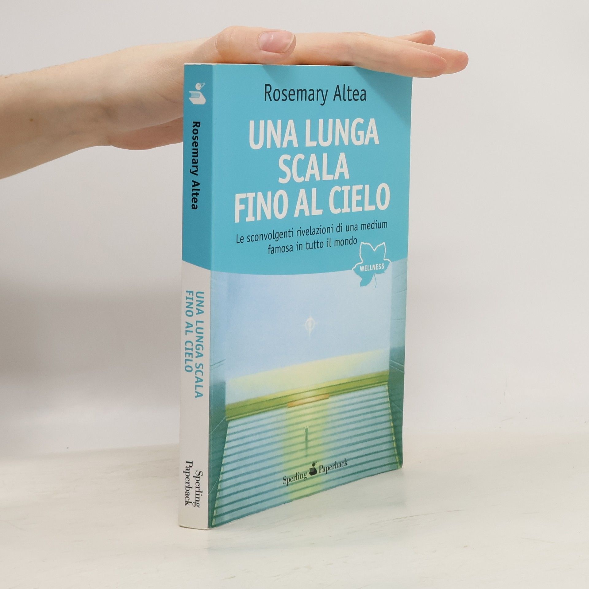 Rosemary Altea Una lunga scala fino al cielo (Open Space Paperback)