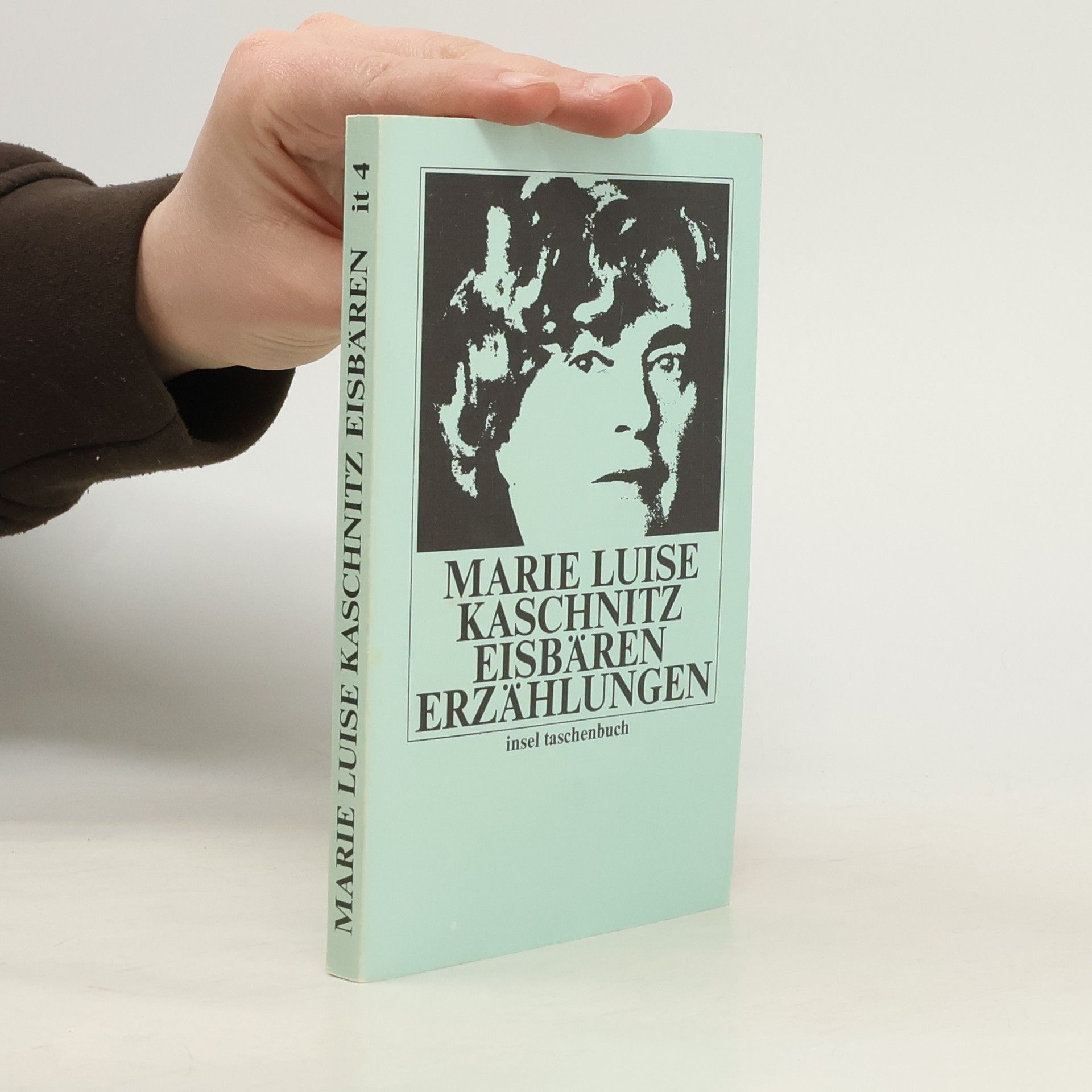 Marie Luise Kaschnitz Eisbären erzählungen