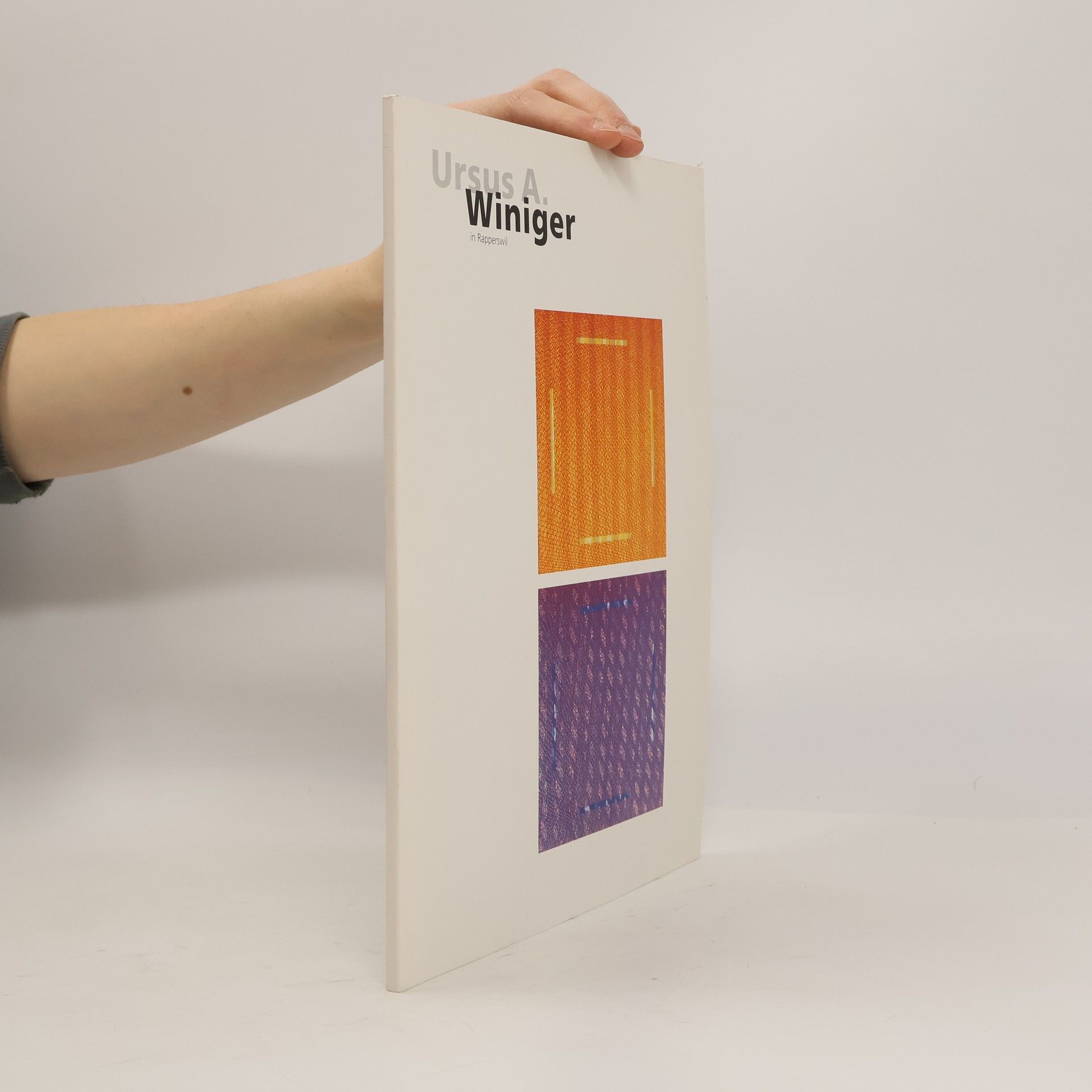 Ursus A. Winiger in Rapperswil