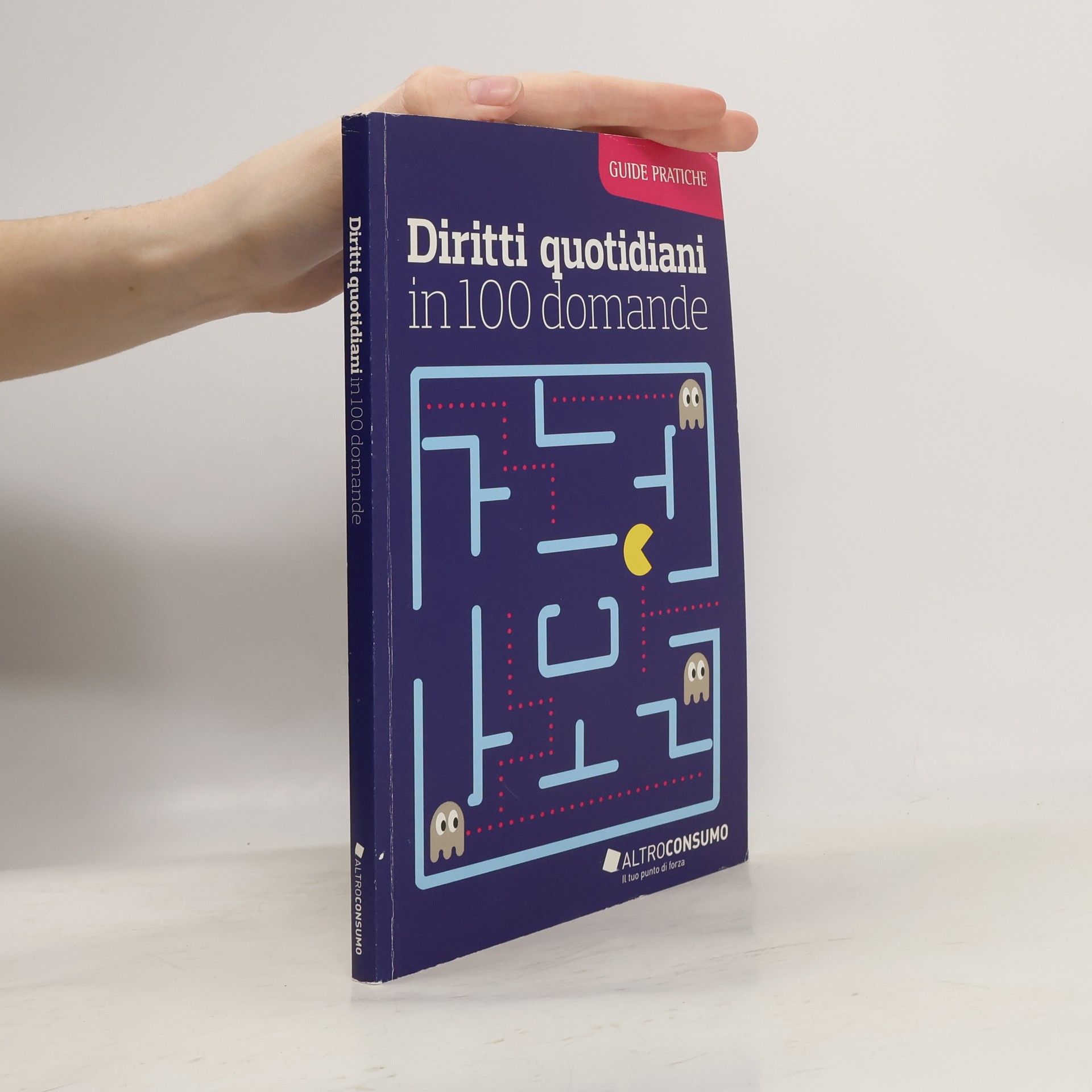 Collectif d'auteurs Diritti quotidiani in 100 domande