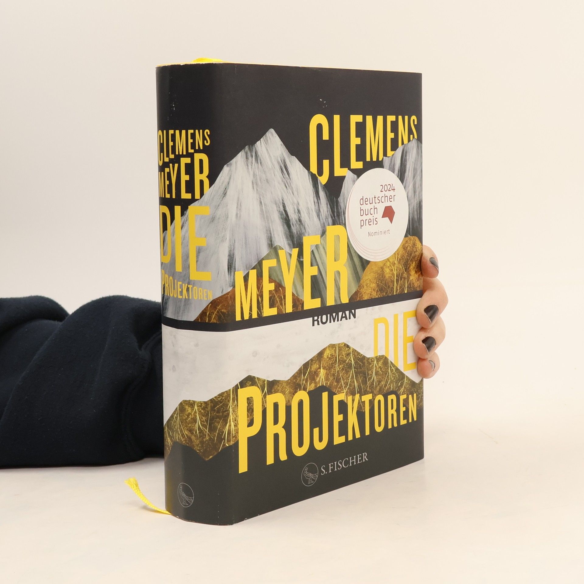 Die Projektoren