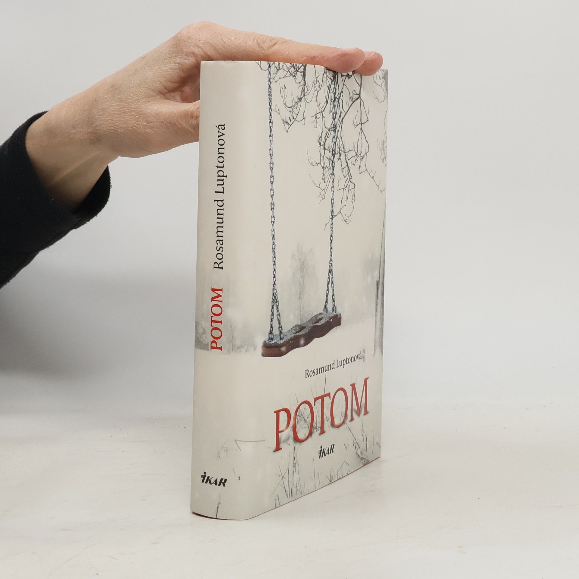 Rosamund Lupton Potom