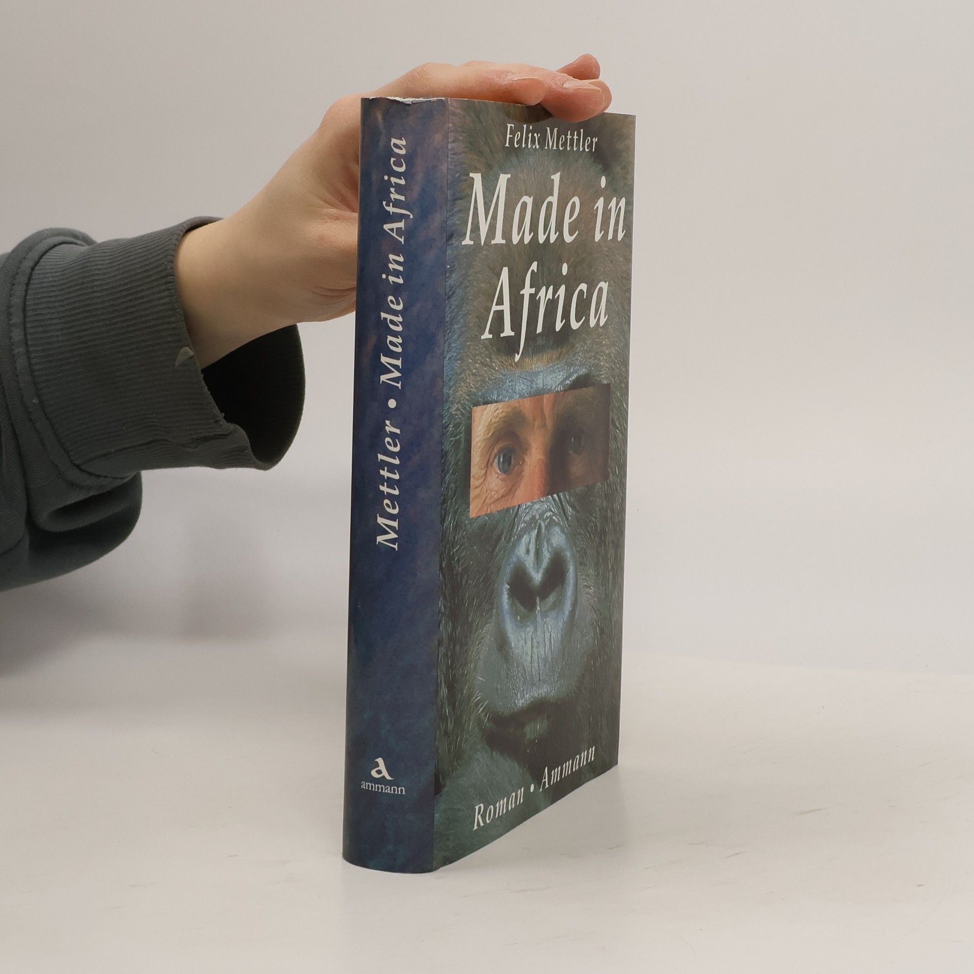 Felix Mettler Made in Africa