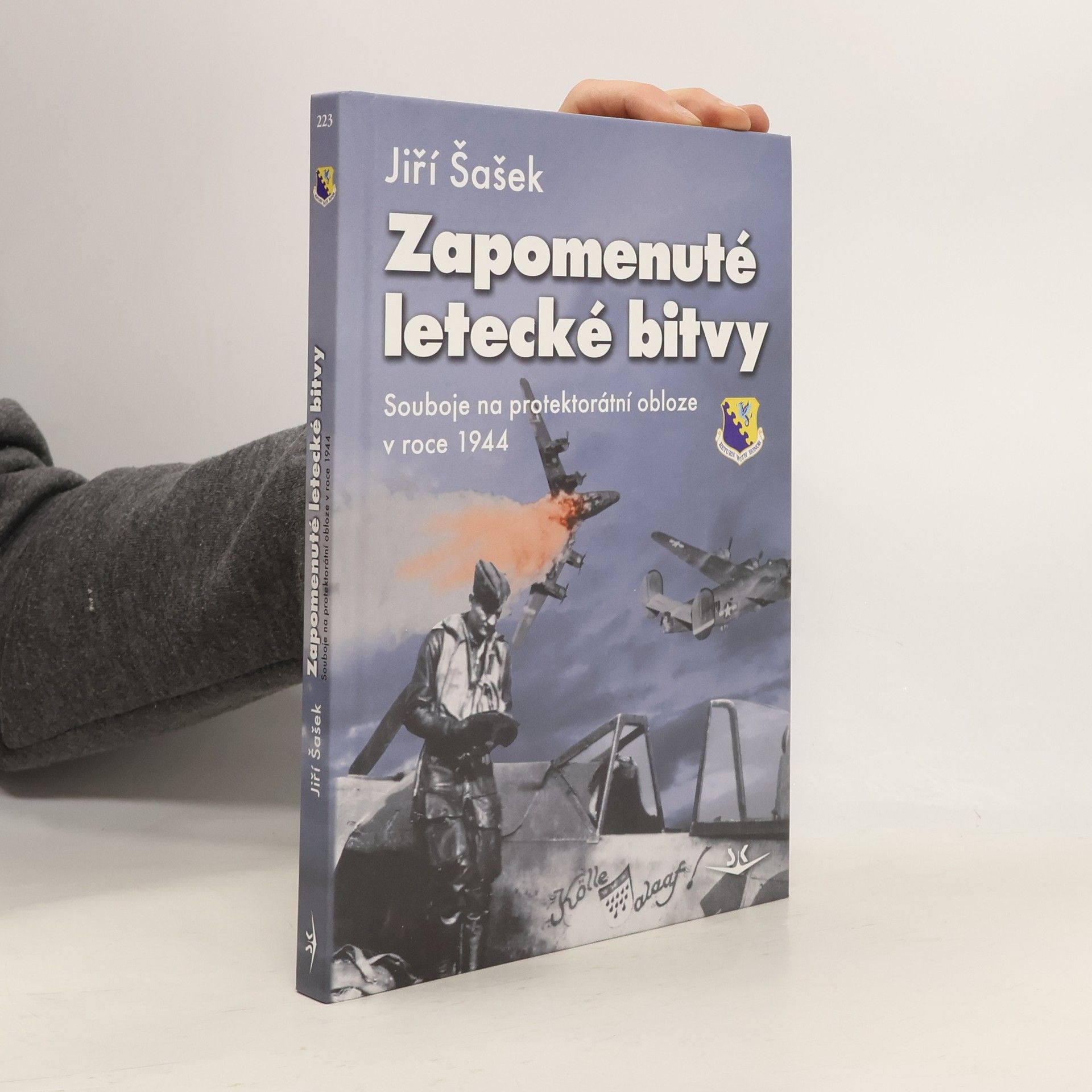 Jiří Šašek Zapomenuté letecké bitvy