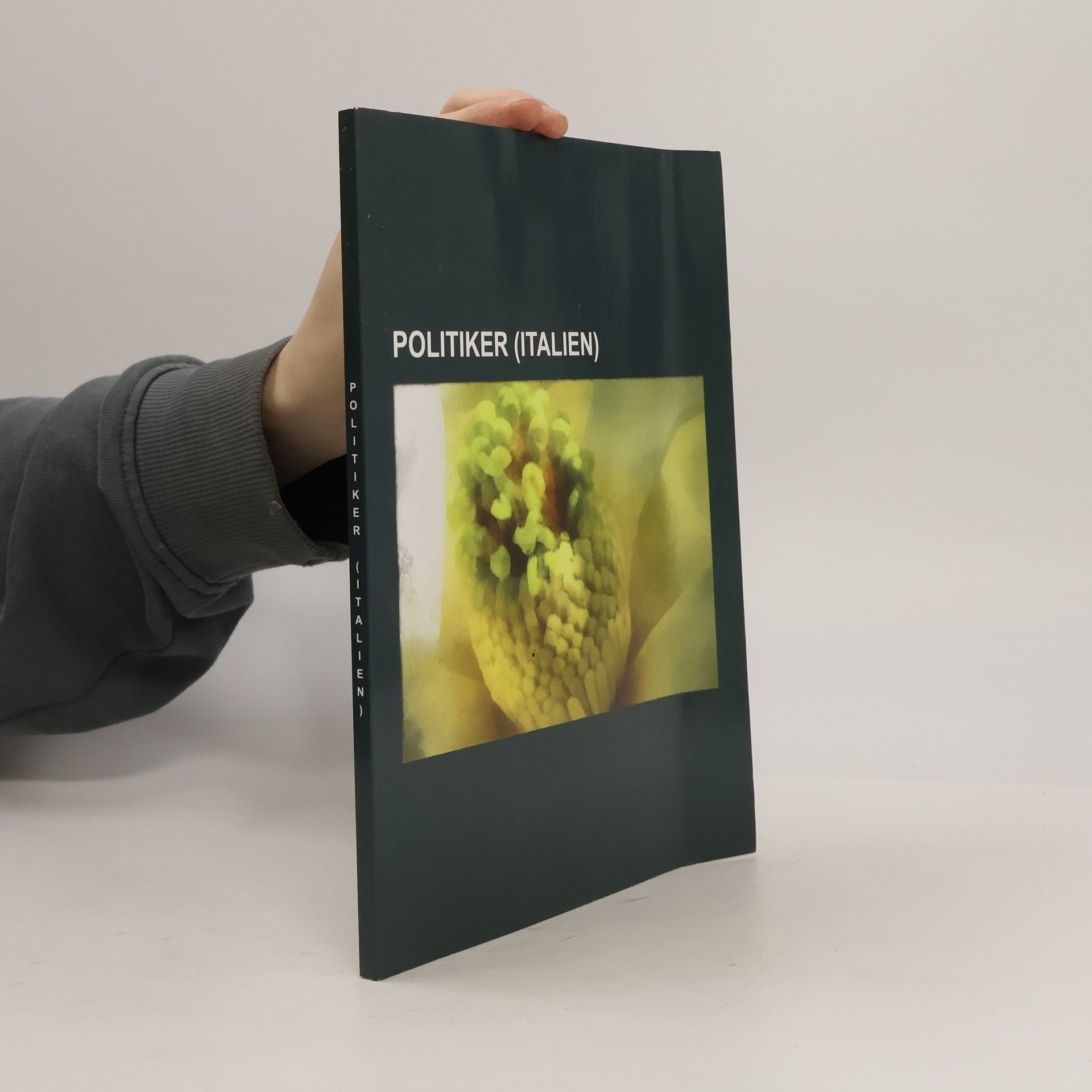 Kolektiv autorů Politiker (Italien)