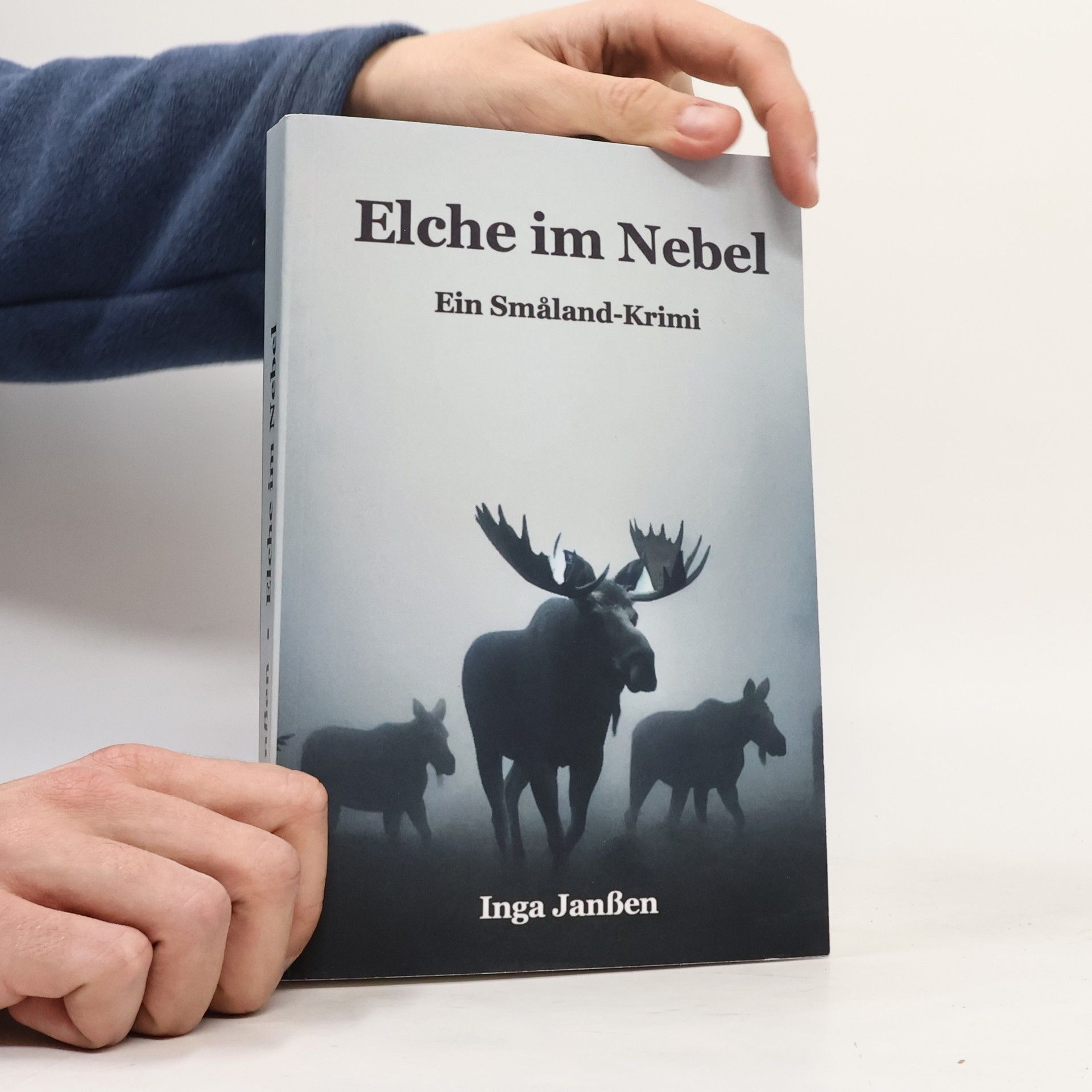 Inga Janßen Elche im Nebel