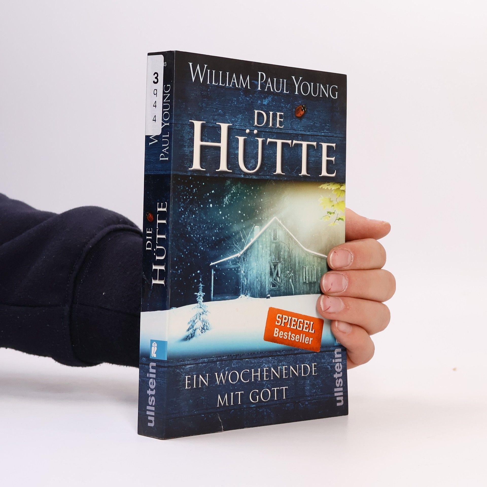 William P. Young Die Hütte