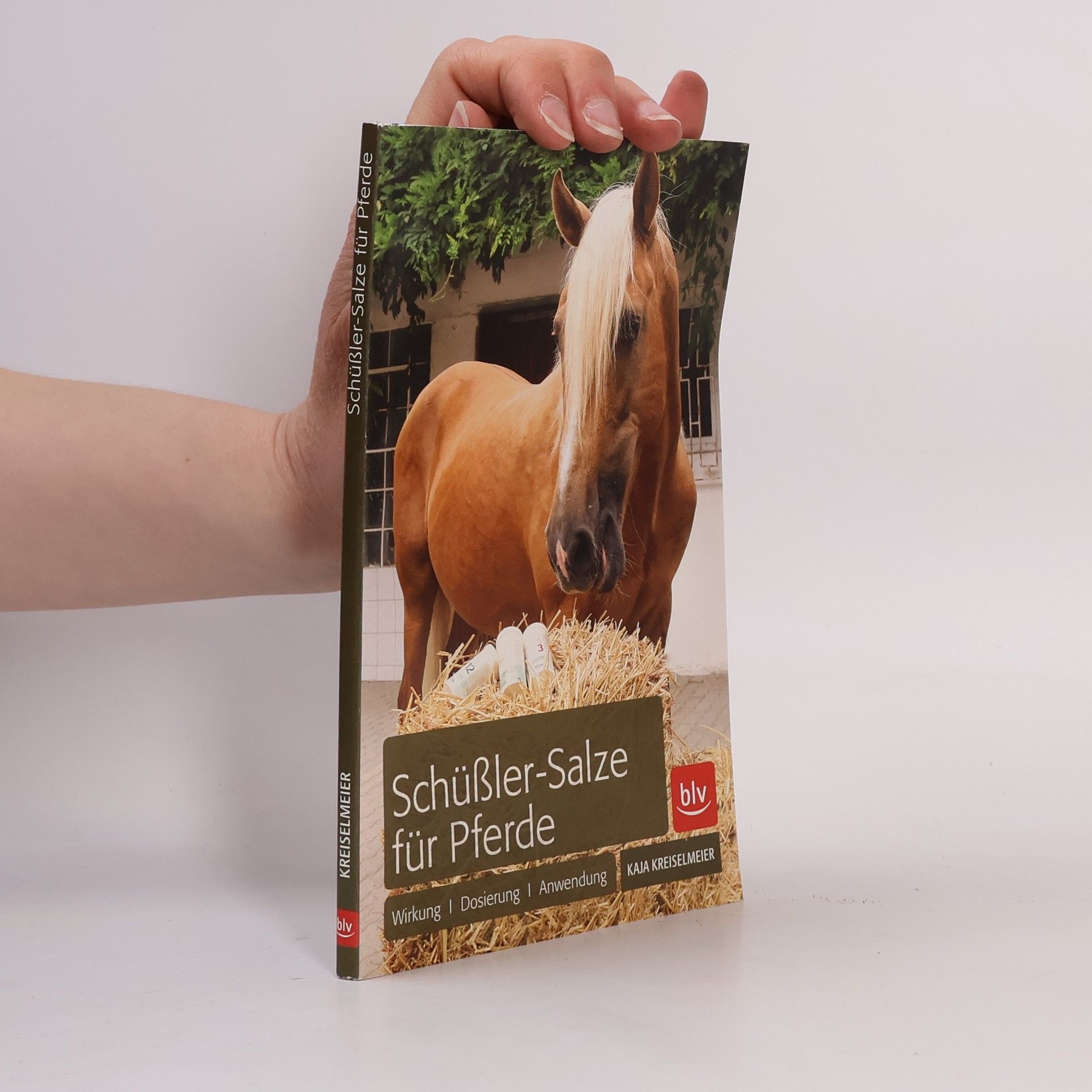 Kaja Kreiselmeier Schüßler-Salze für Pferde