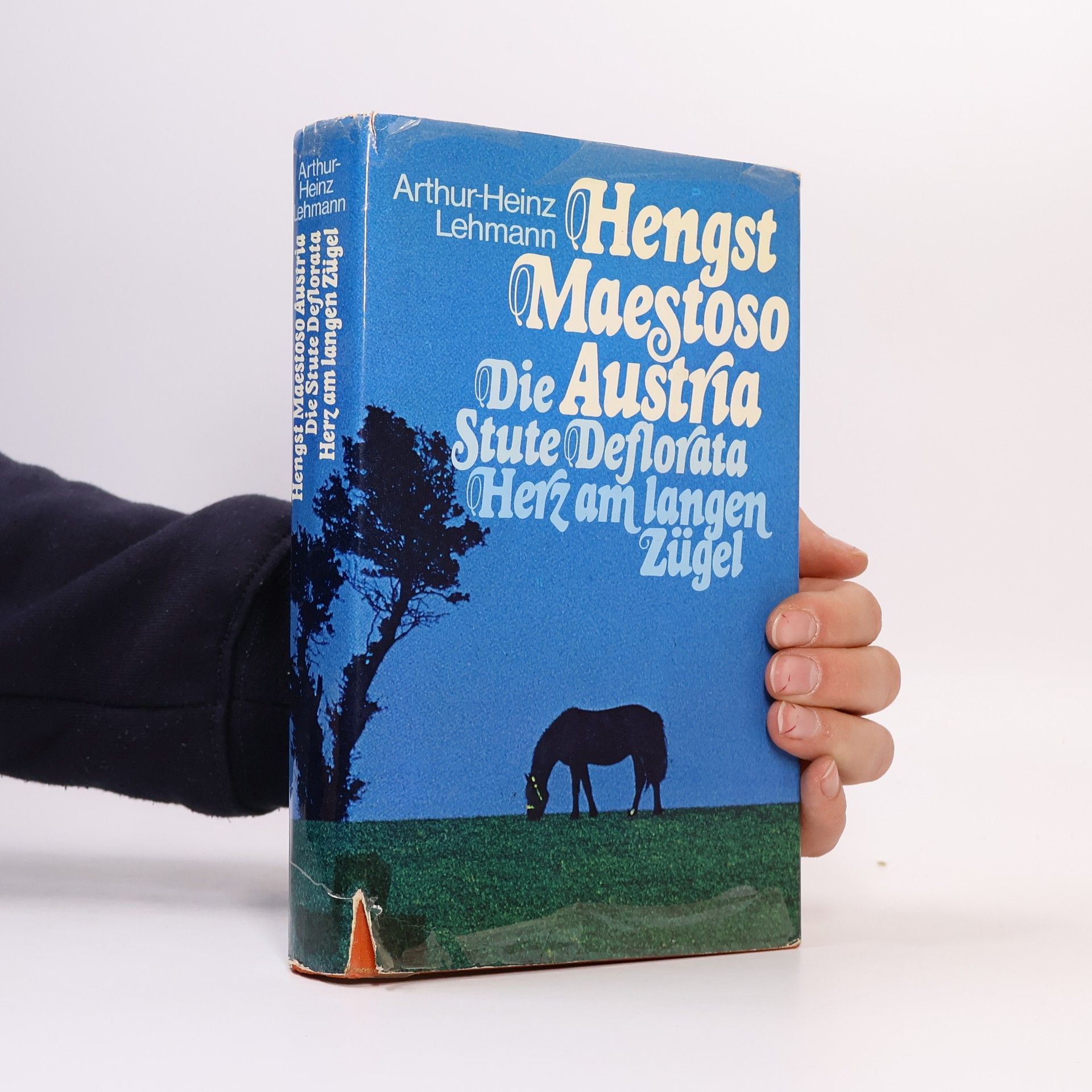 Arthur Heinz Lehmann Die Stute Deflorata. Herz am langen Zügel