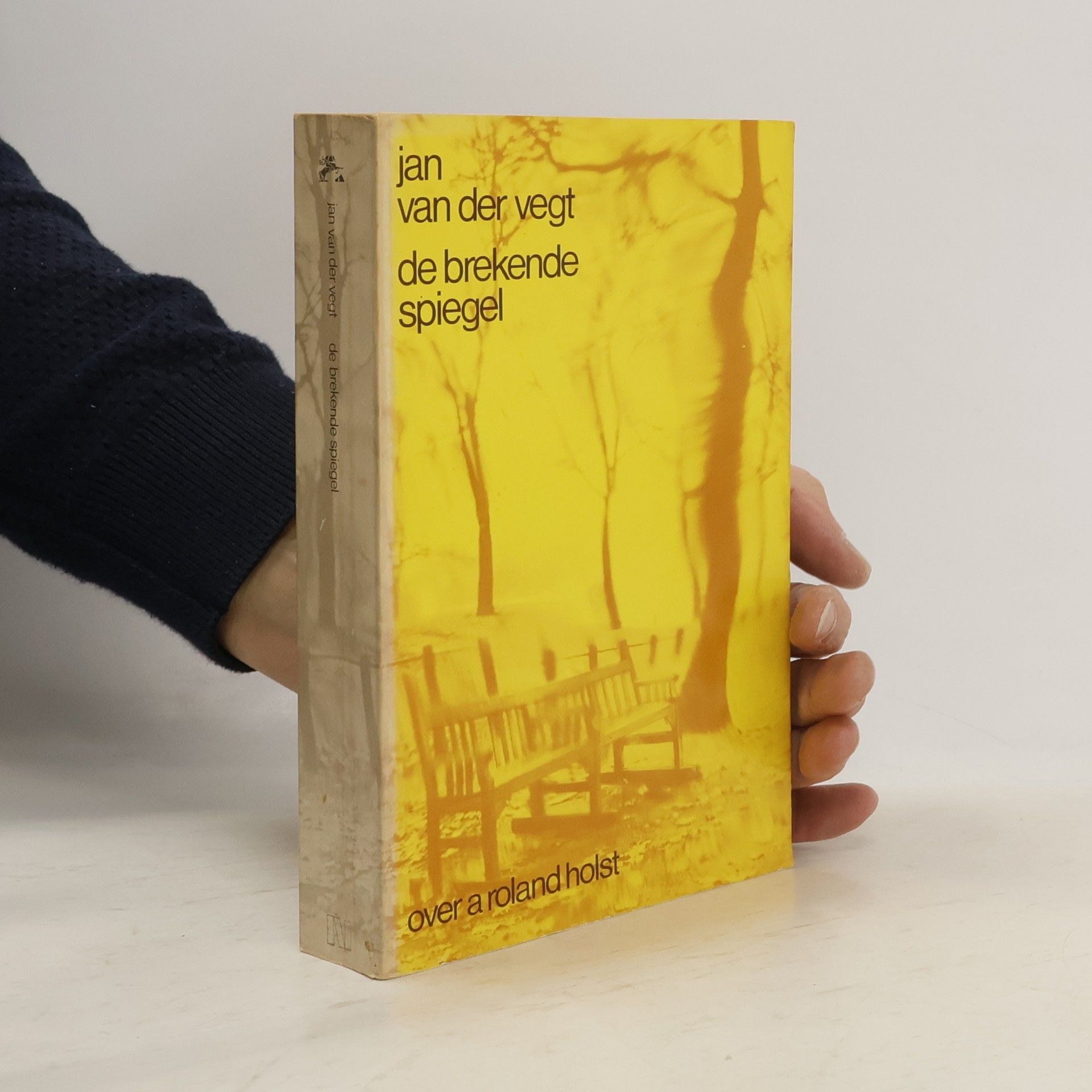 Jan van der Vegt De brekende spiegel
