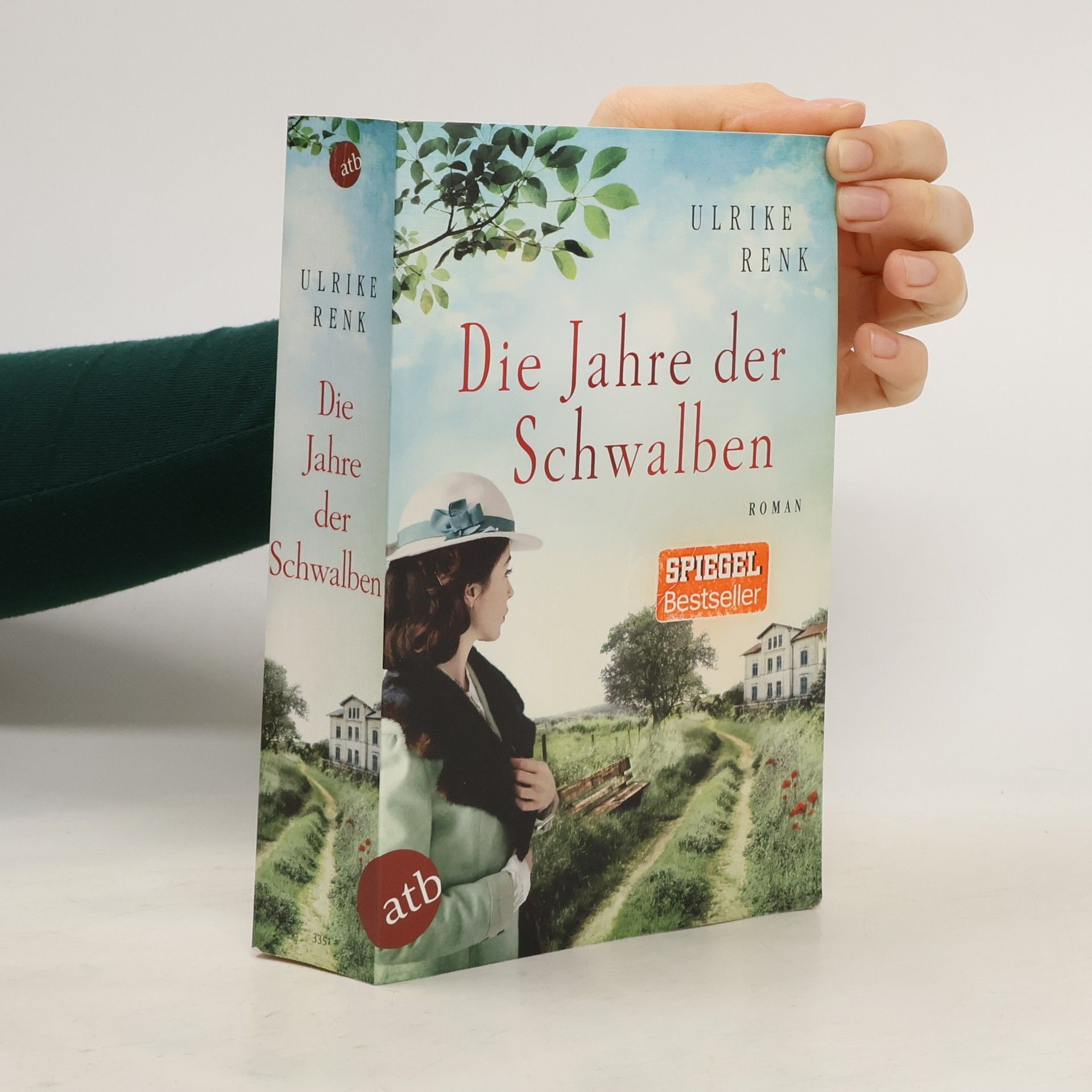 Ulrike Renk Die Jahre der Schwalben