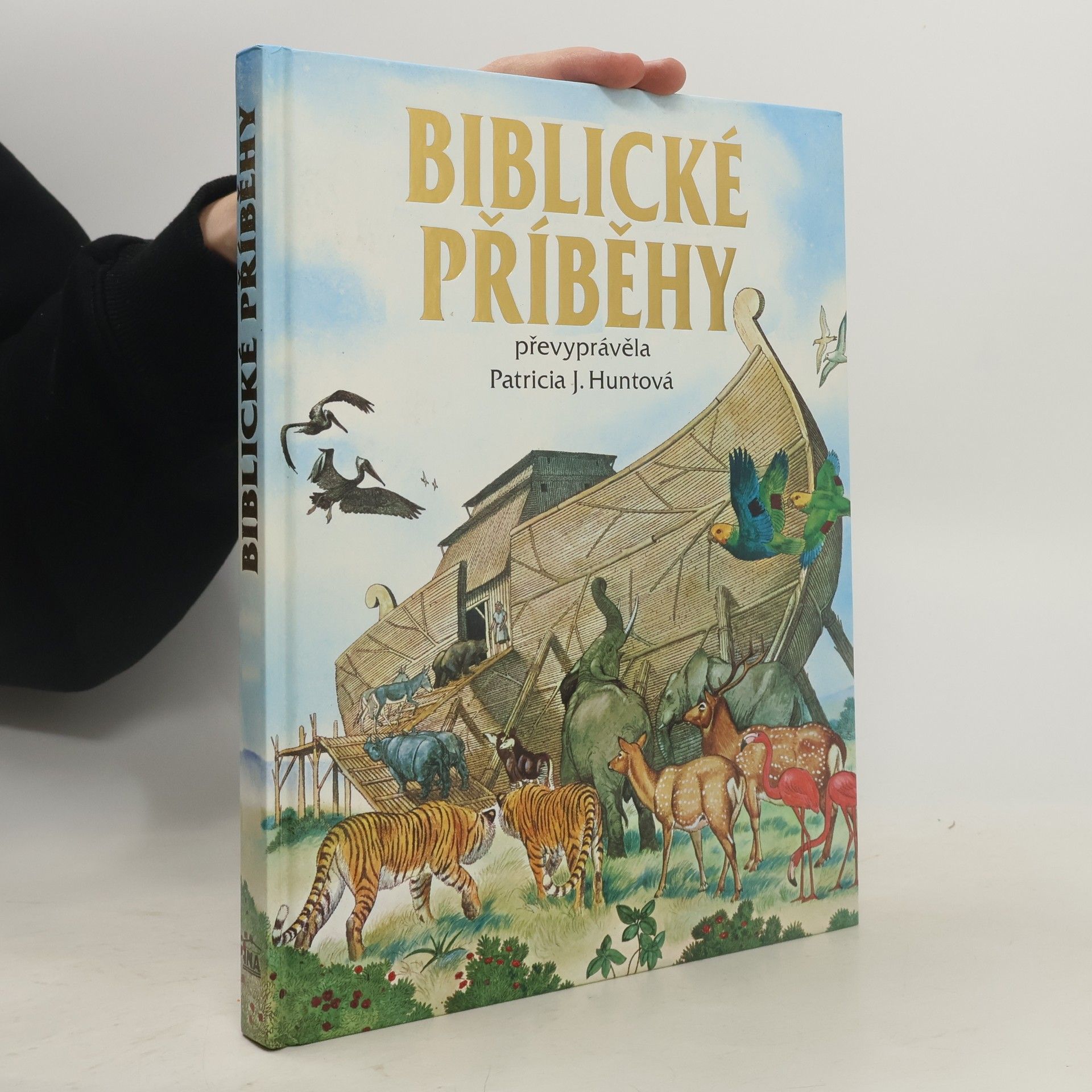 Patricia J. Hunt Biblické příběhy