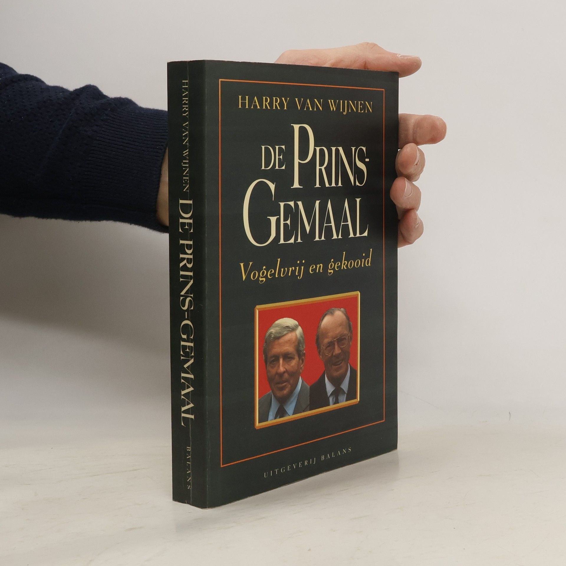 Harry van Wijnen De prins-gemaal