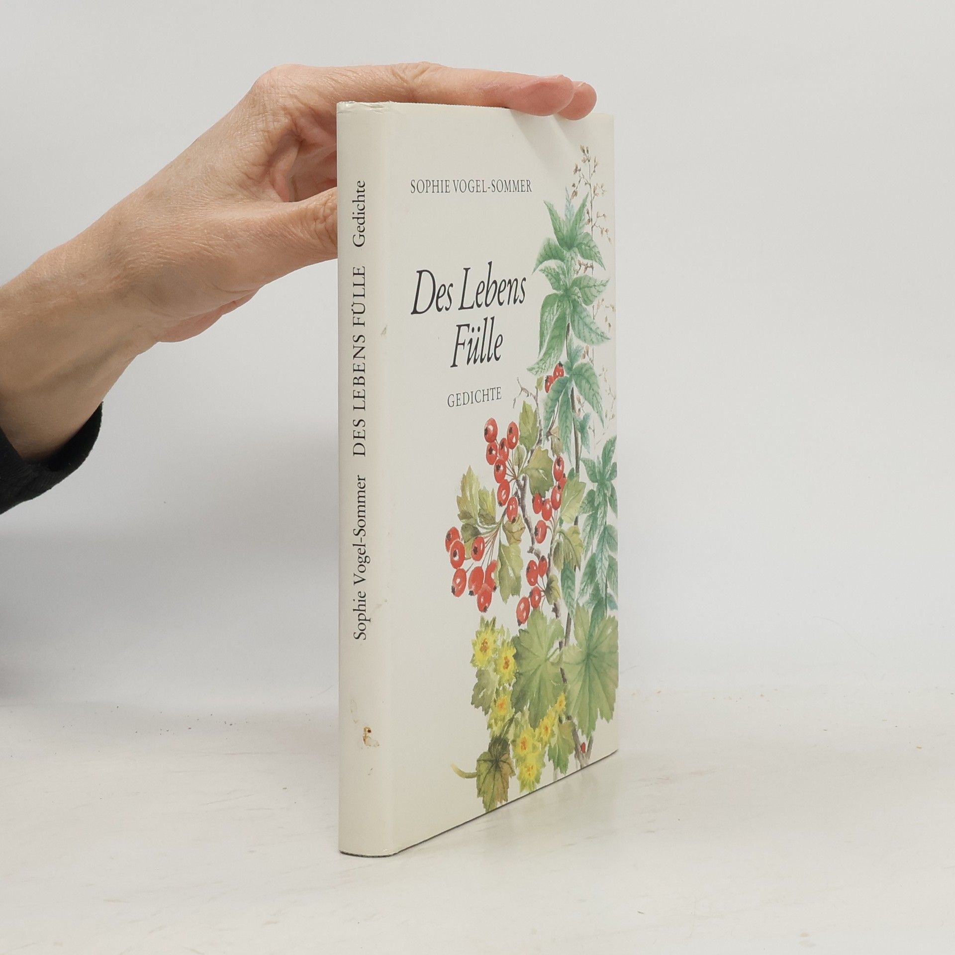 Sophie Vogel-Sommer Des Lebens Fülle