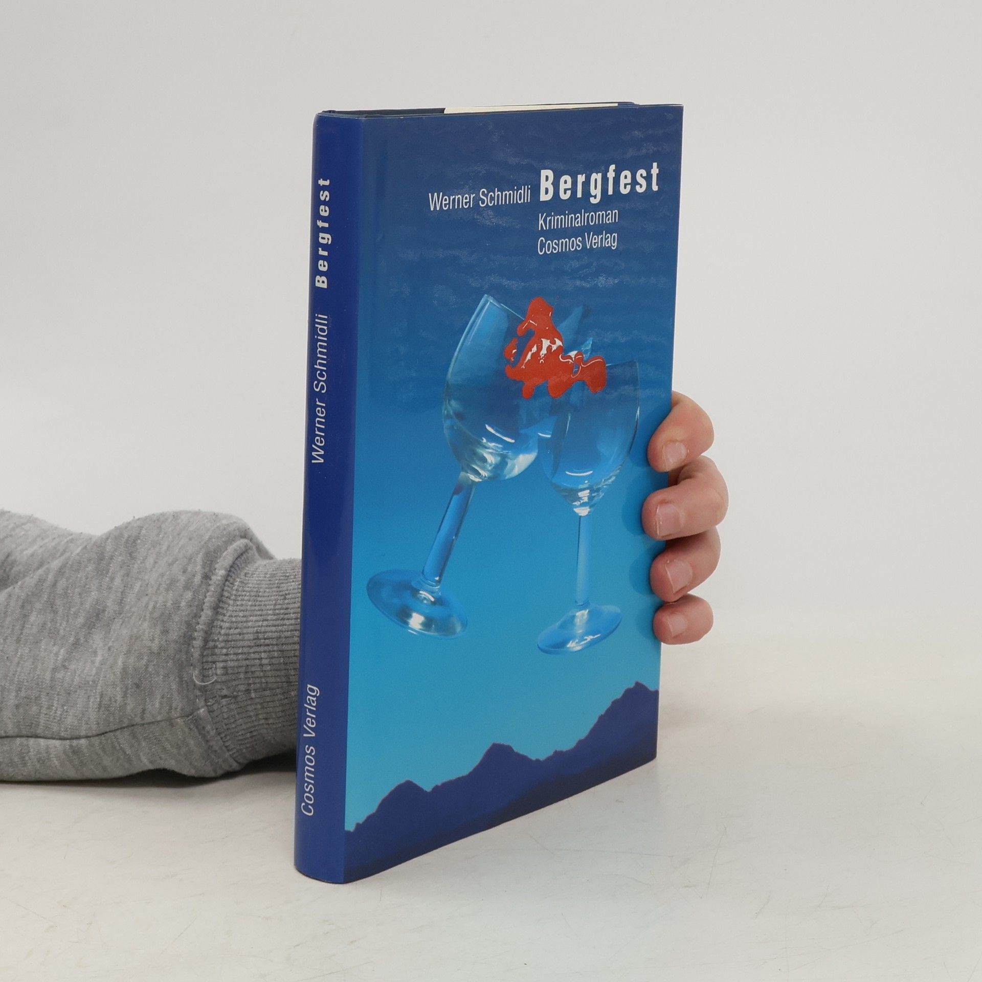 Werner Schmidli Bergfest. Kriminalroman