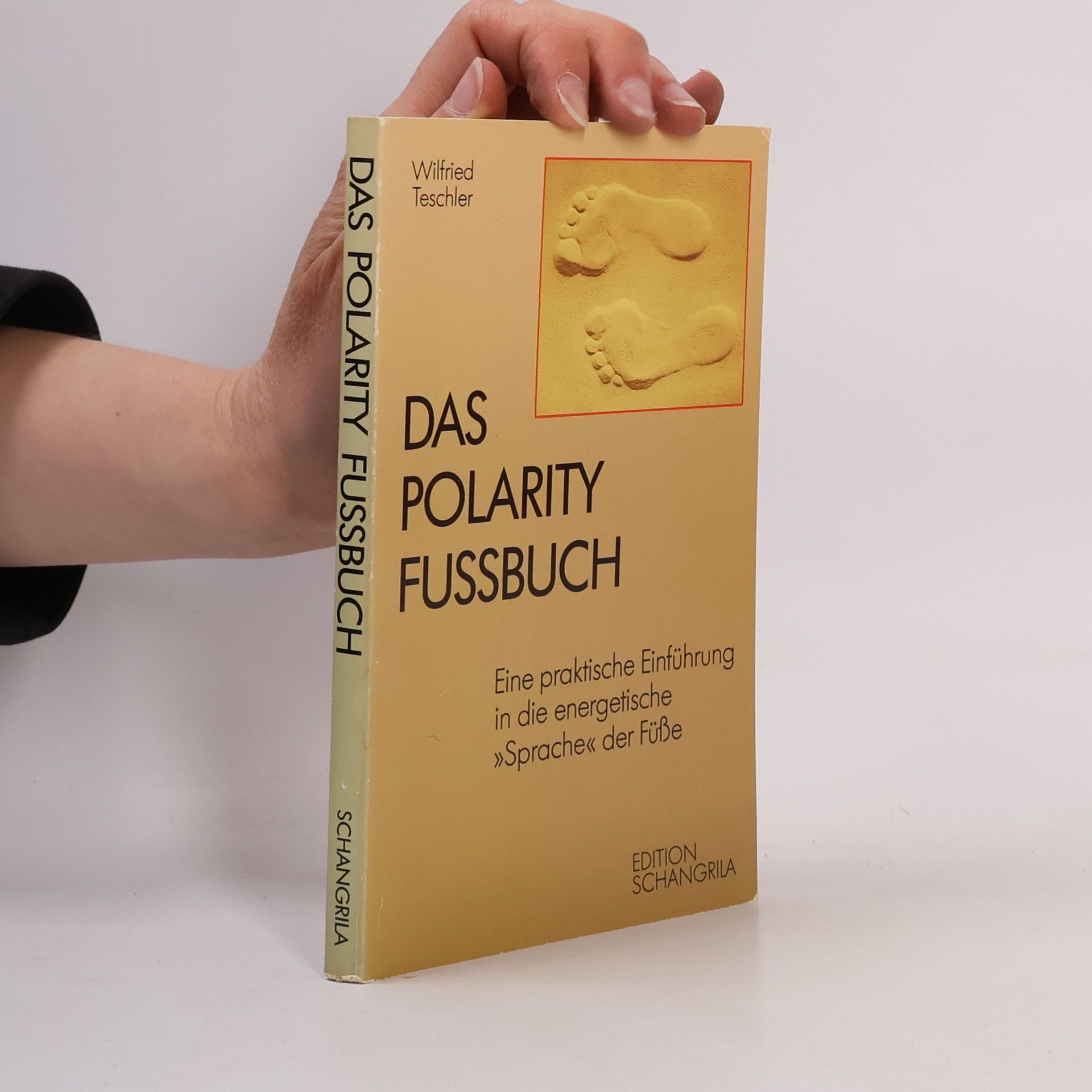 Wilfried Teschler Das Polarity Fussbuch