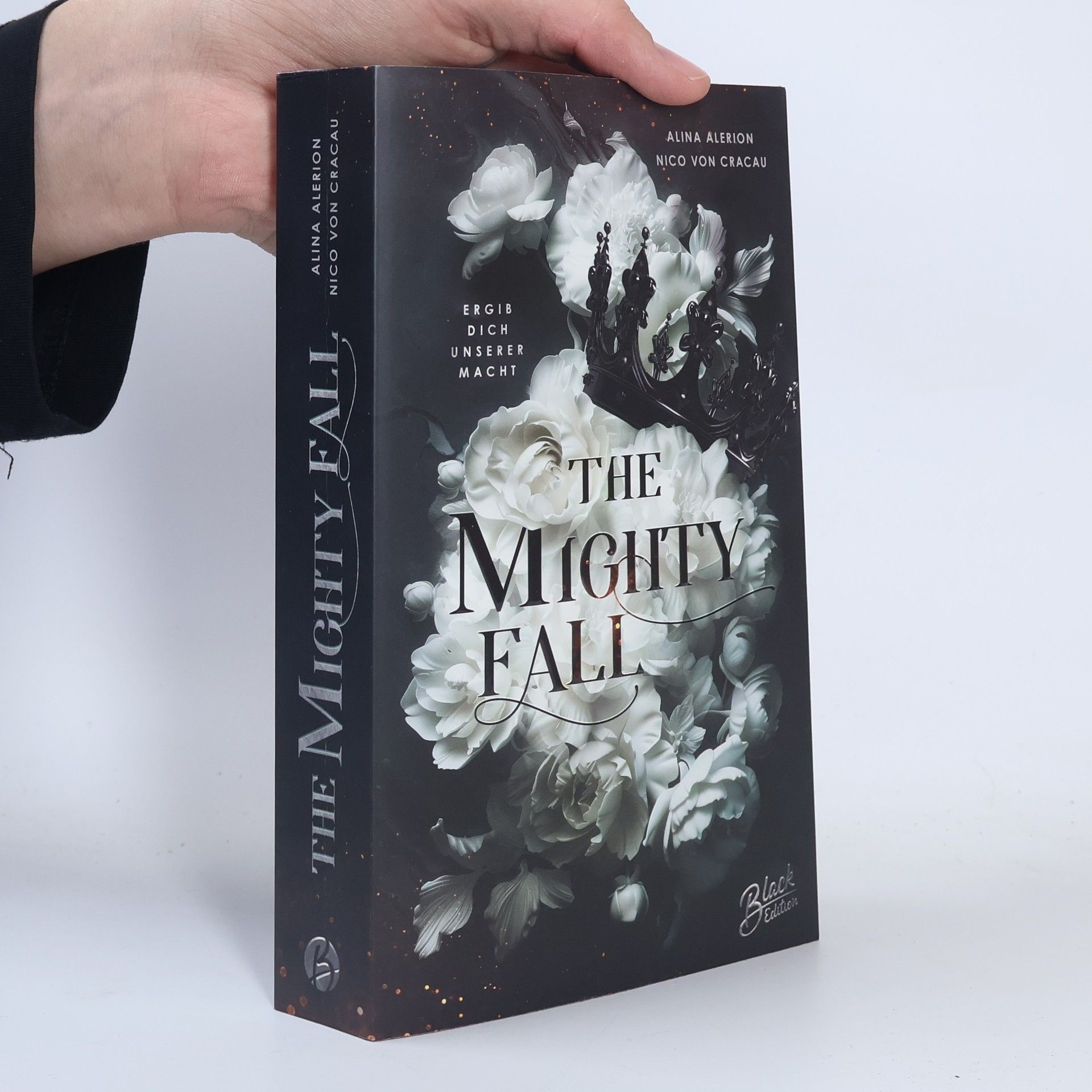 Alina Alerion The Mighty Fall