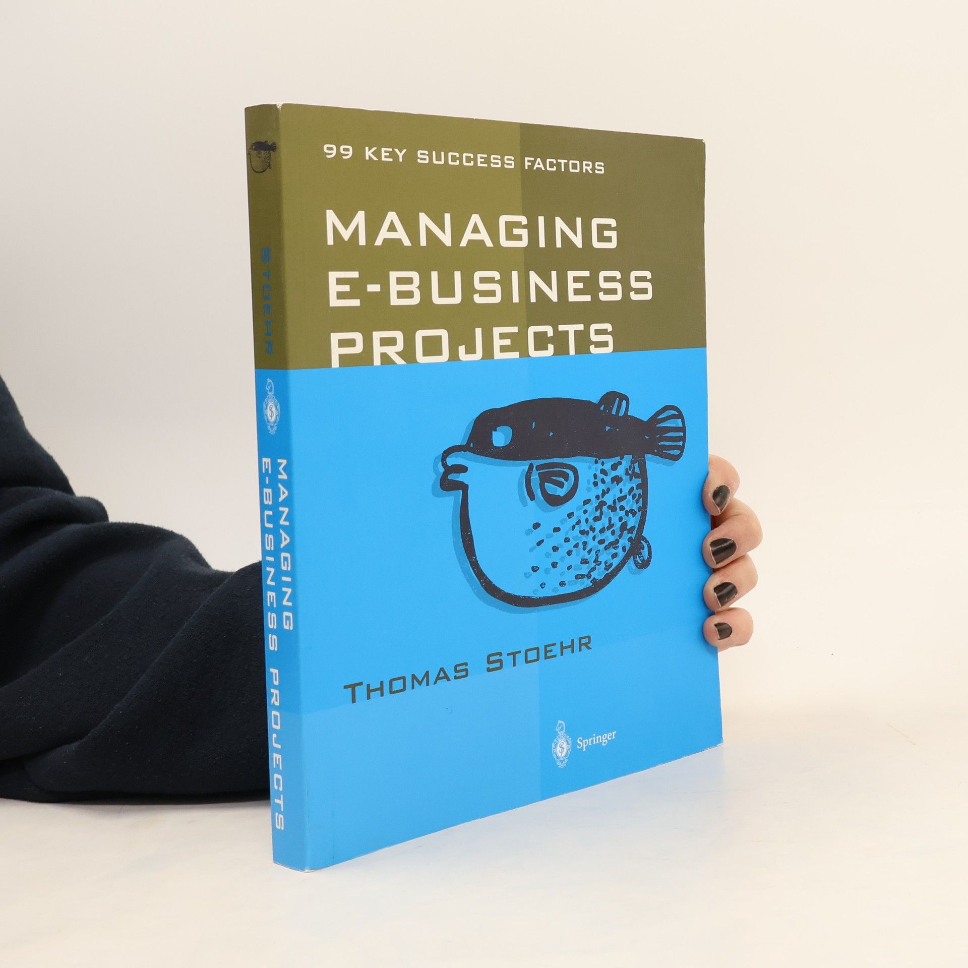 Thomas Stoehr Managing E-Business Projects