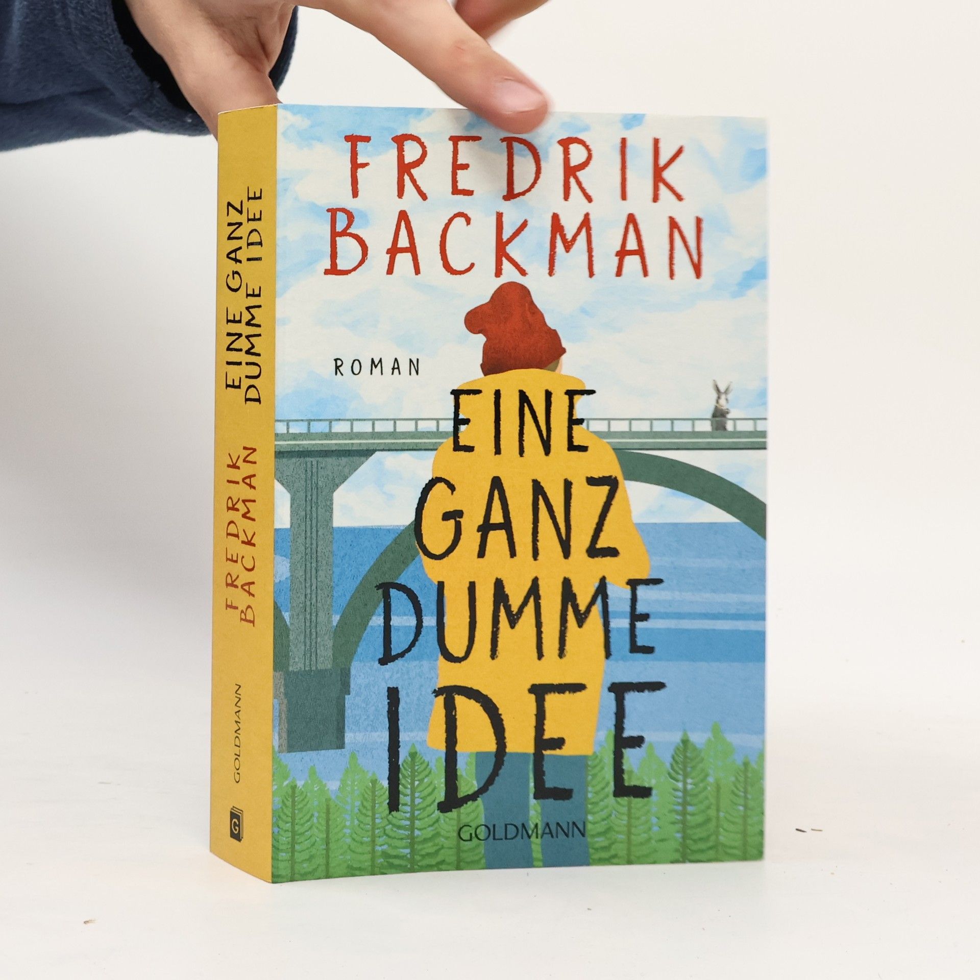 Fredrik Backman Eine ganz dumme Idee