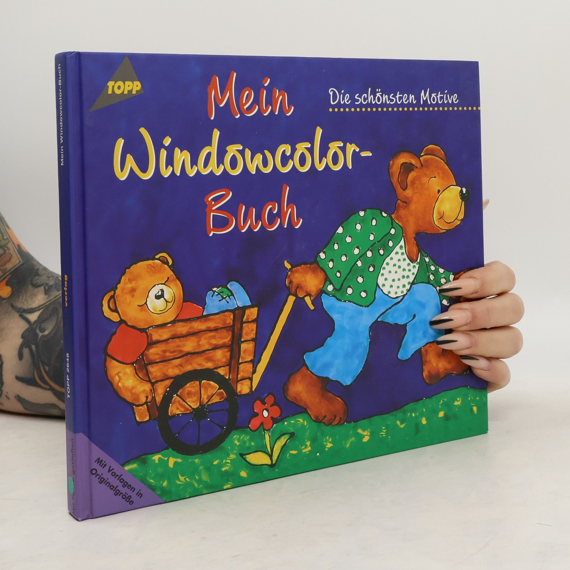 Autorenkollektiv Mein Windowcolor-Buch