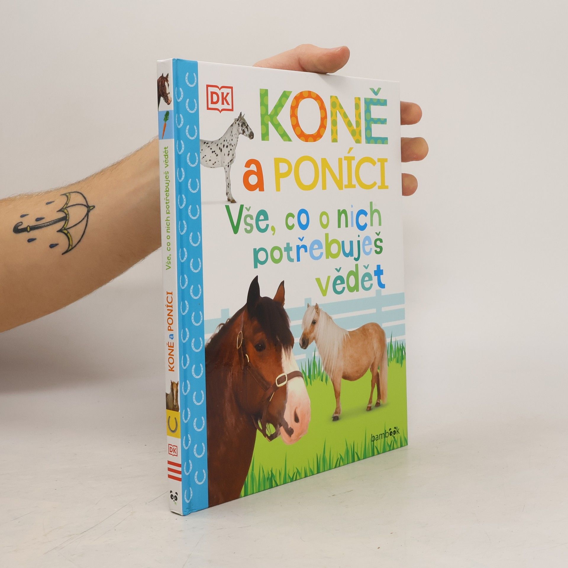 Andrea Mills Koně a poníci – Vše, co o nich potřebuješ vědět