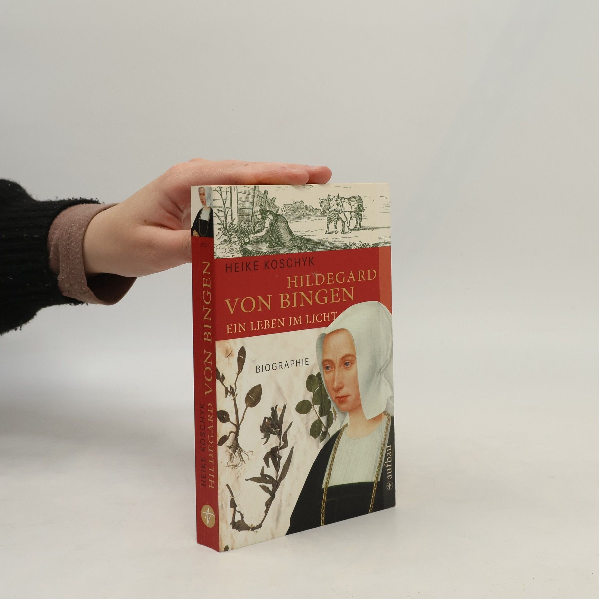Heike Koschyk Hildegard von Bingen, Ein Leben im Licht