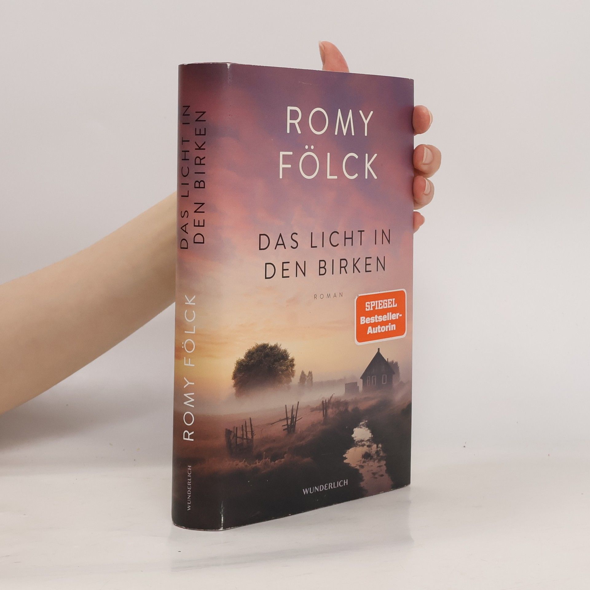 Romy Fölck Das Licht in den Birken