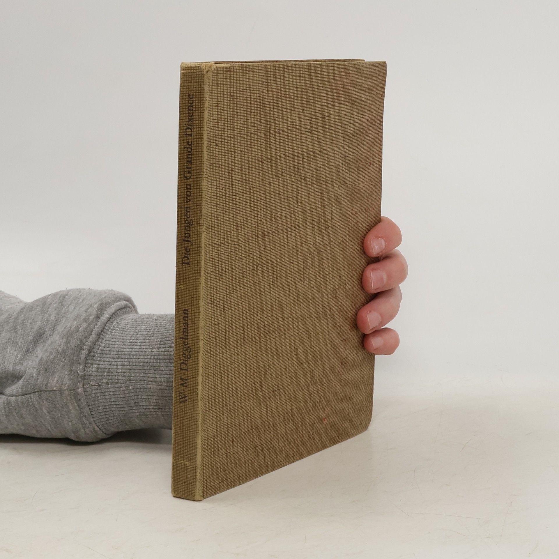 Walter Matthias Diggelmann Die Jungen von Grande Dixence