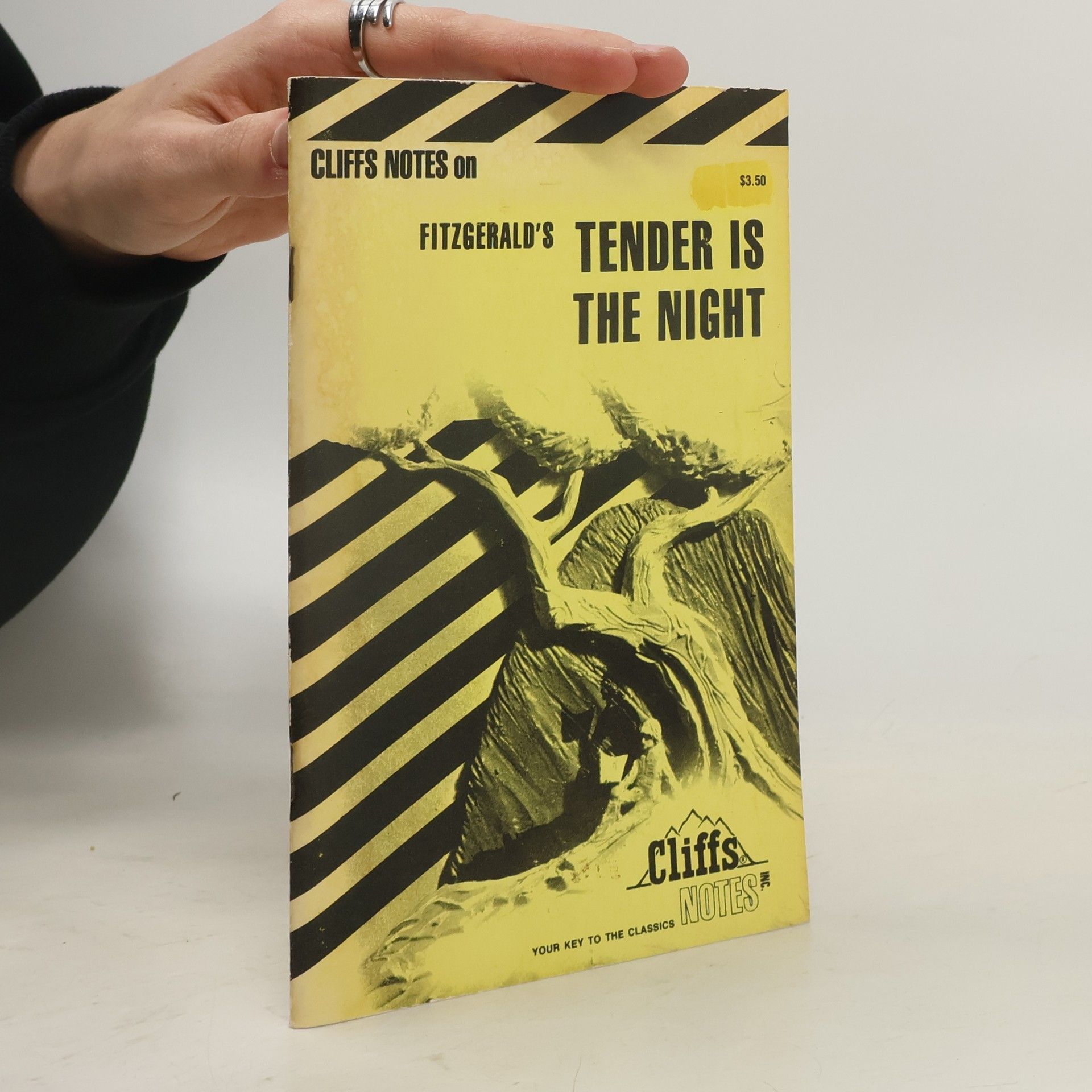 Carol H. Poston Cliffsnotes Tender Is the Night