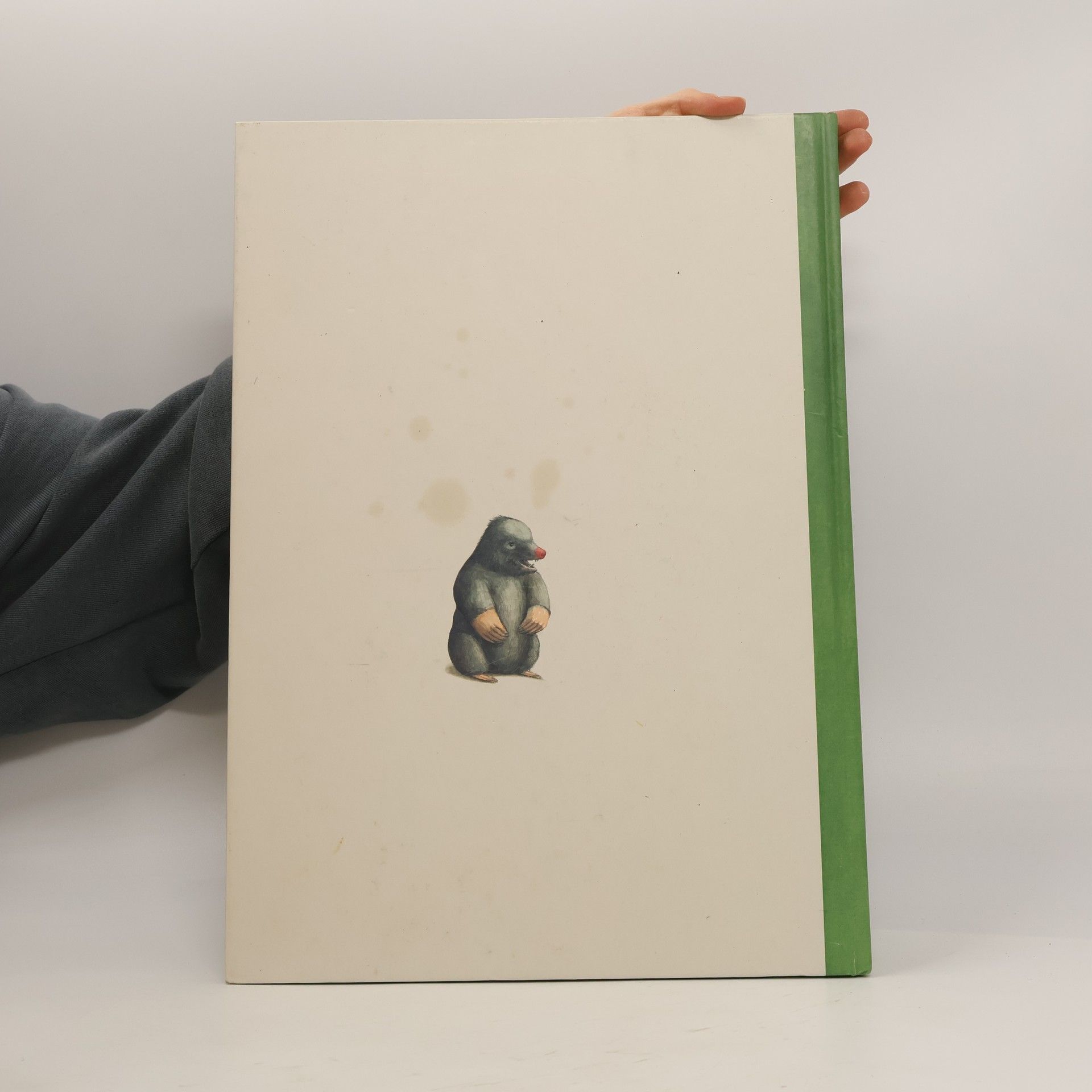 Tanja Dietrich Rabenlist und Löwenmut
