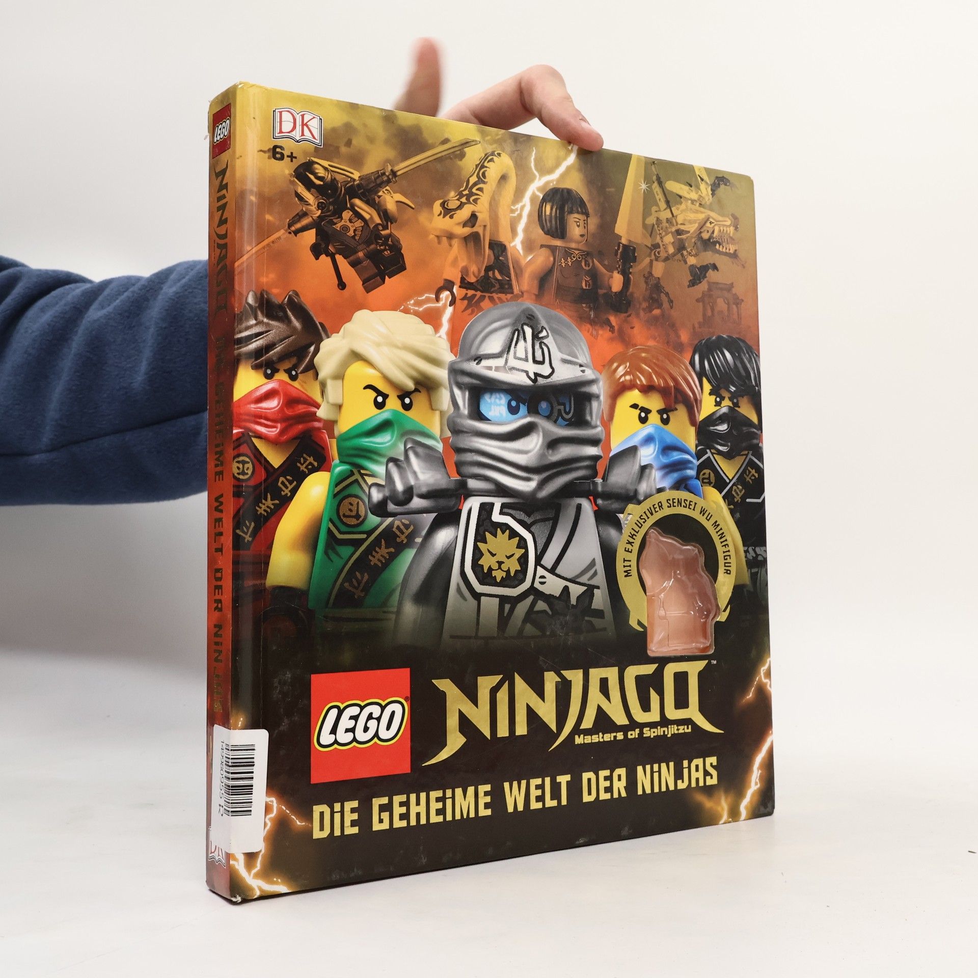 Beth Landis Hester LEGO Ninjago masters of Spinjitzu - die geheime Welt der Ninjas