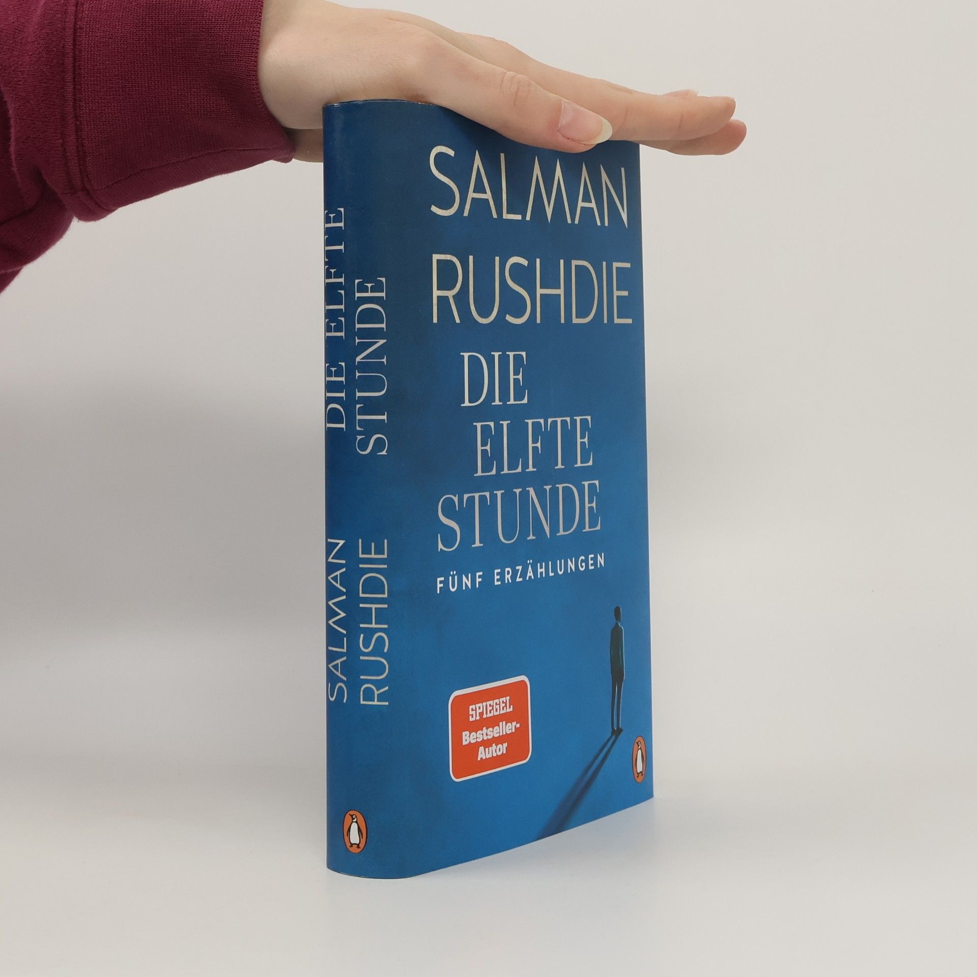 Salman Rushdie Die elfte Stunde