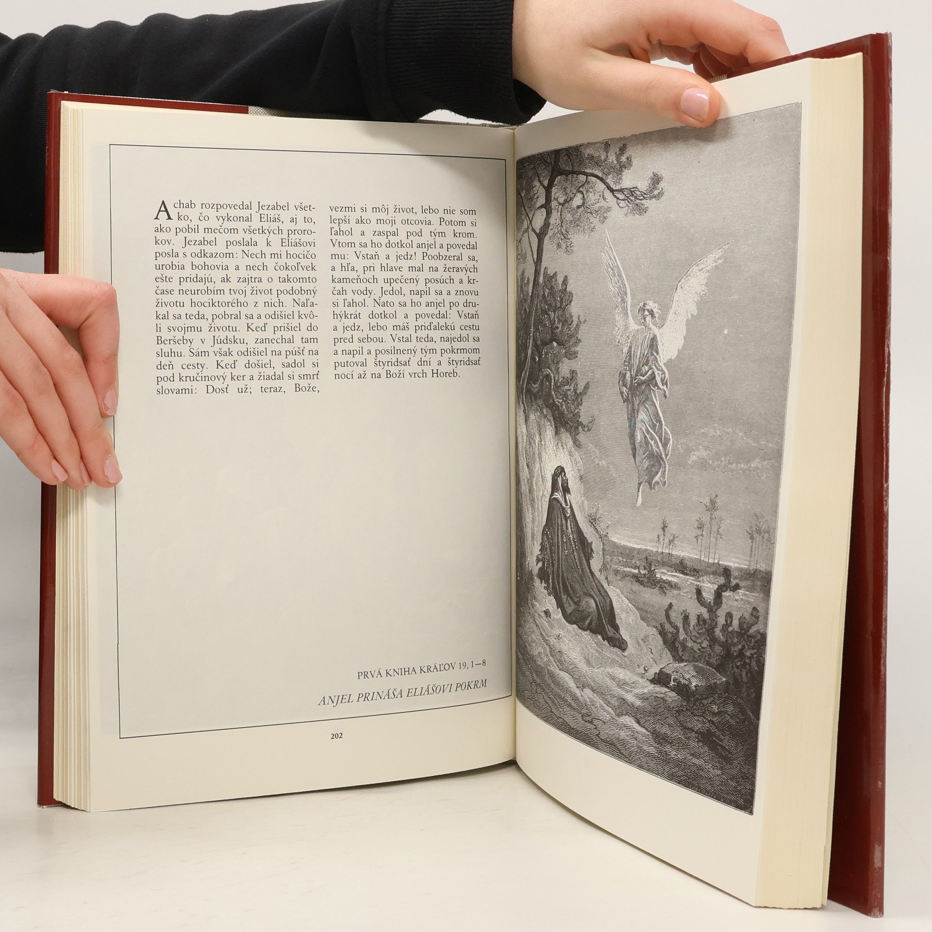 Jan Plesník Gustave Doré. Biblia
