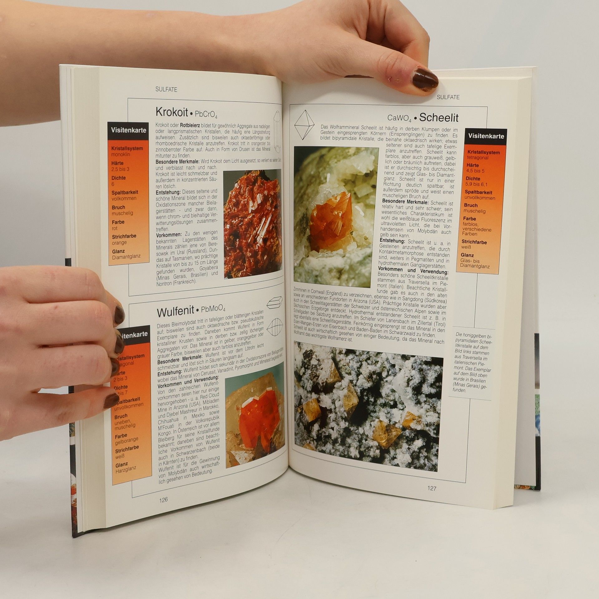 Autorenkollektiv Mineralien und Edelsteine: Ein umfassender Ratgeber zum Entdecken, Bestimmen und Sammeln von Mineralien und Edelsteinen
