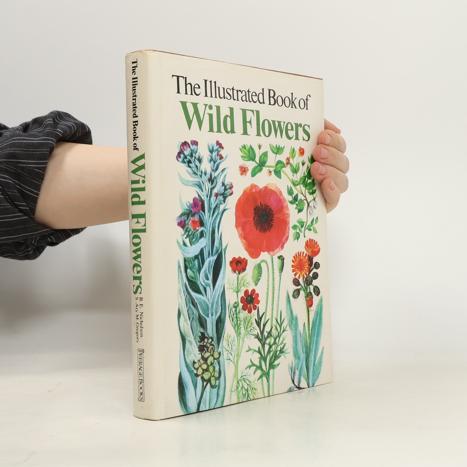 Barbara E. Nicholson The Illustrated Book of Wild Flowers