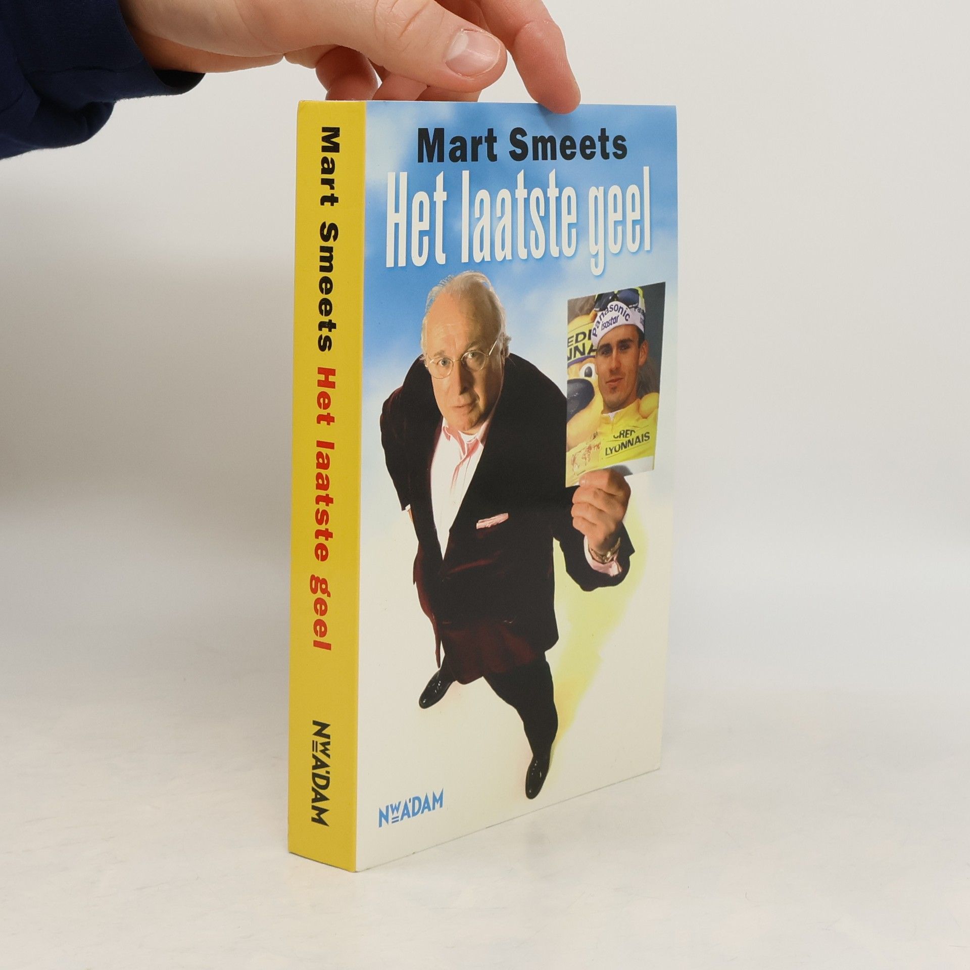 Martinus Jan Smeets Het laatste geel