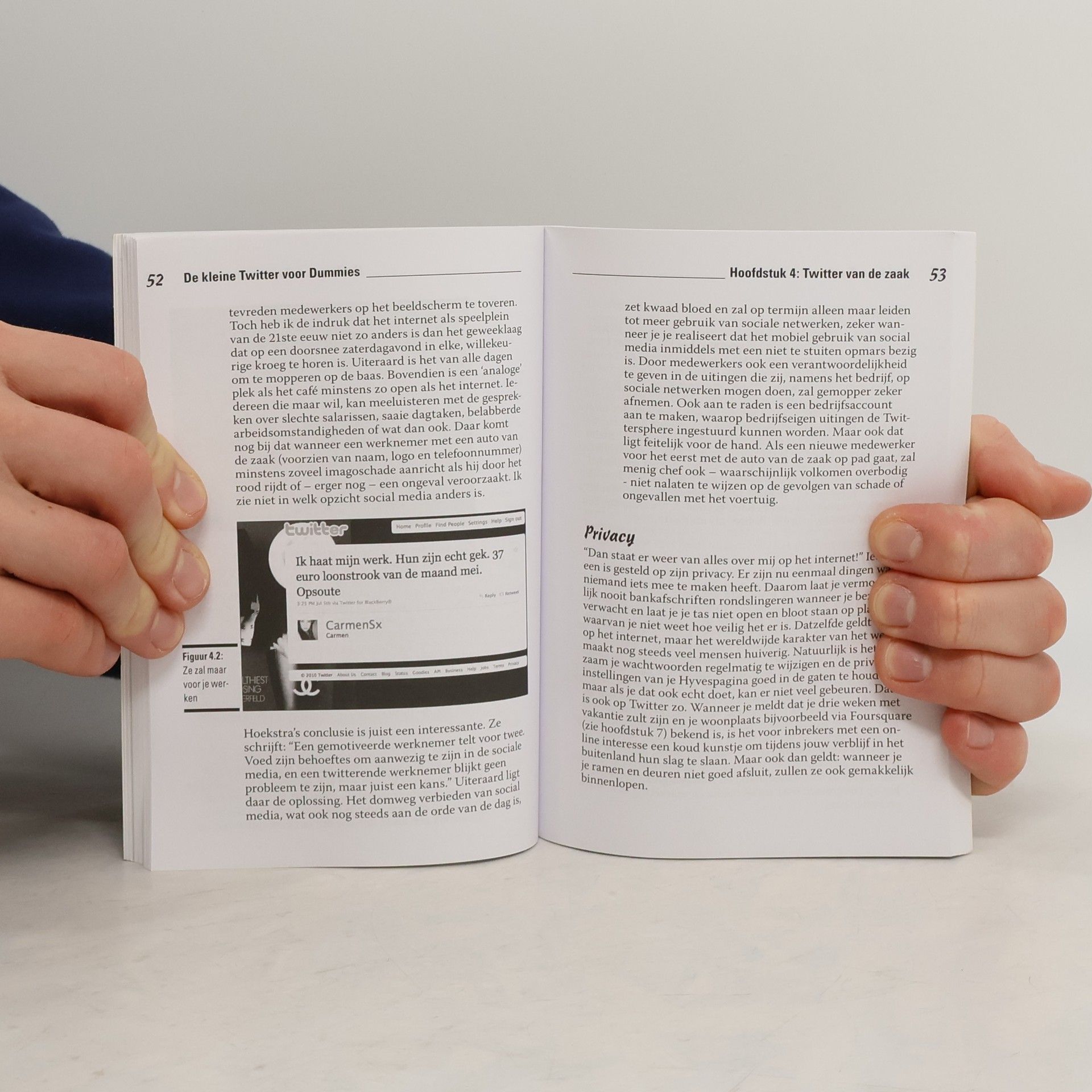 Raymond Janssen De kleine Twitter voor Dummies
