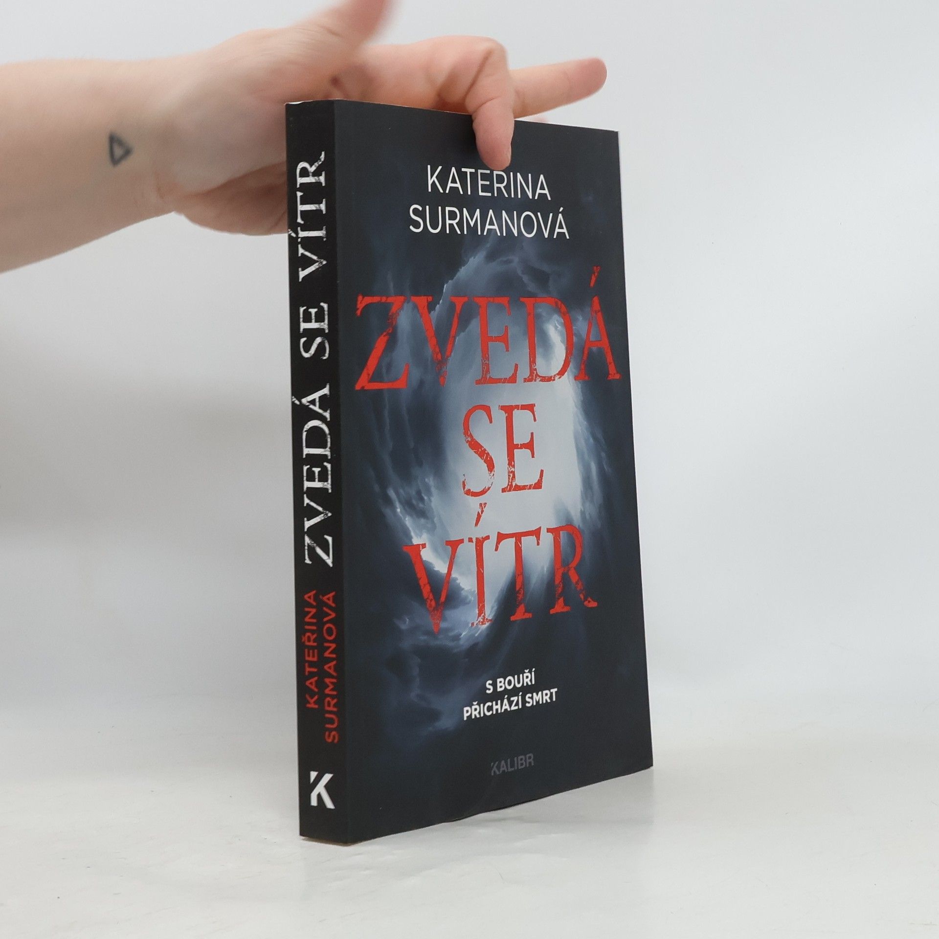 Kateřina Surmanová Zvedá se vítr