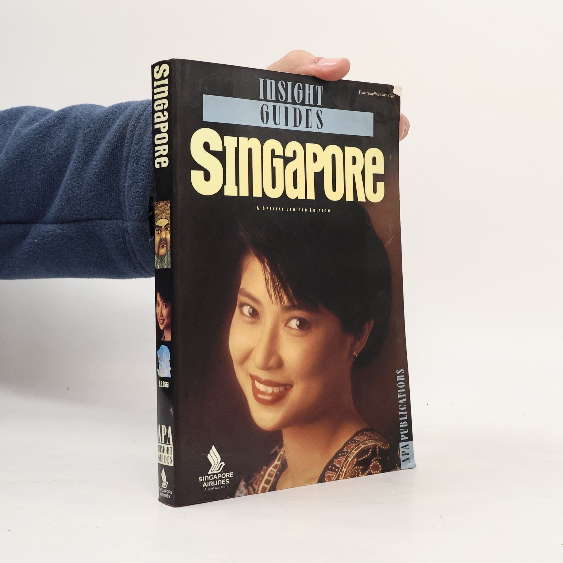 Kolektiv autorů Insight Guides Singapore