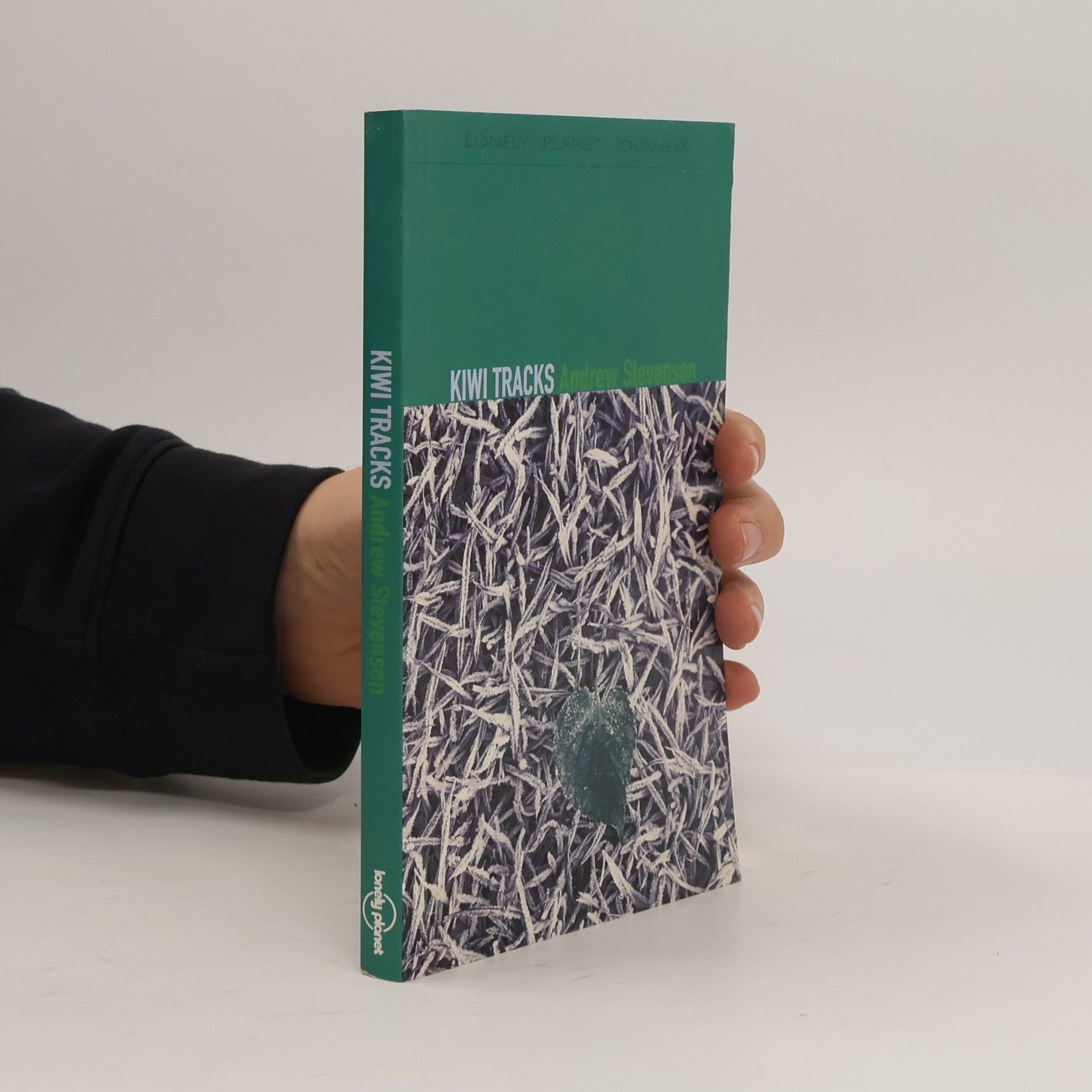 Lonely Planet Journeys: Kiwi Tracks