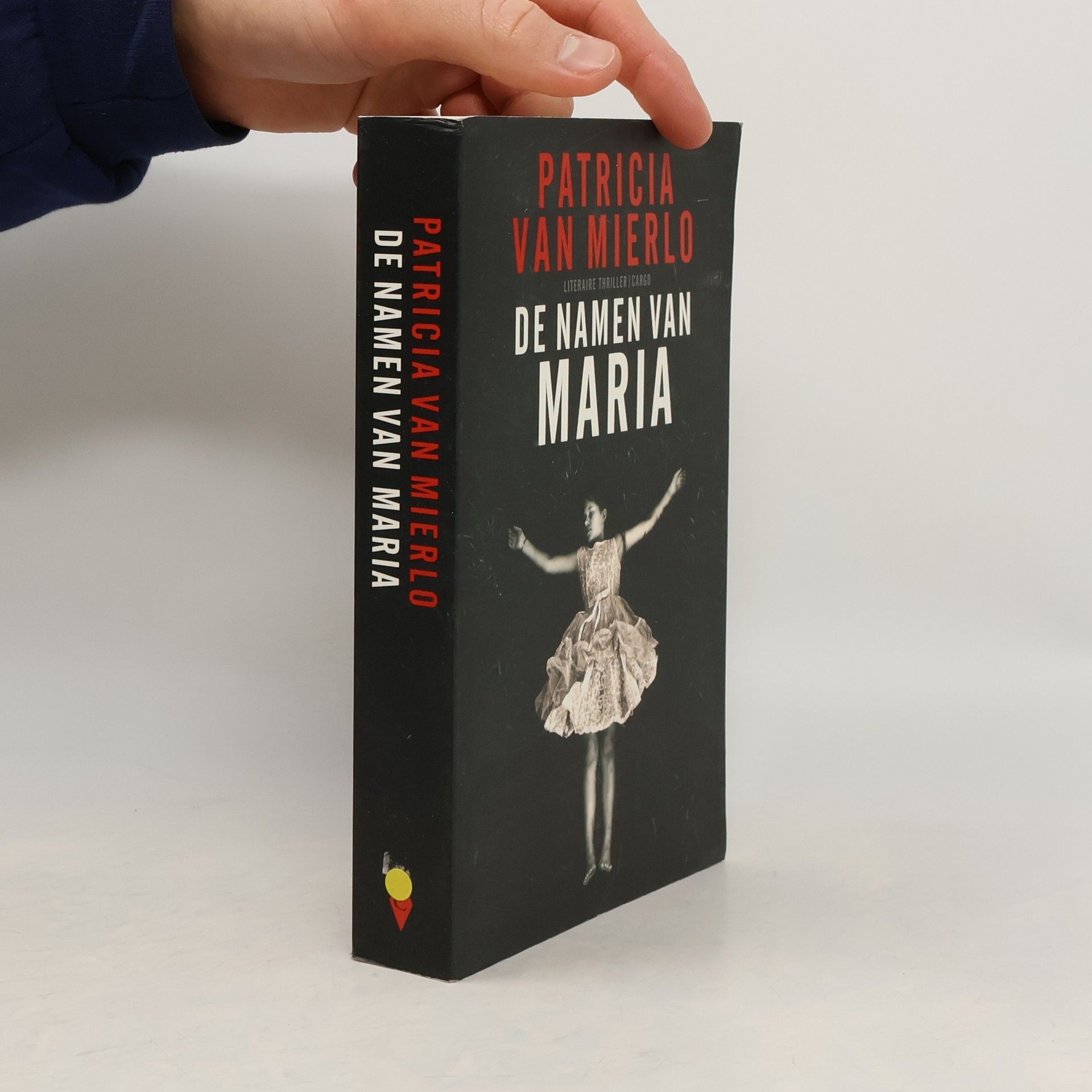 Patricia van Mierlo De namen van Maria