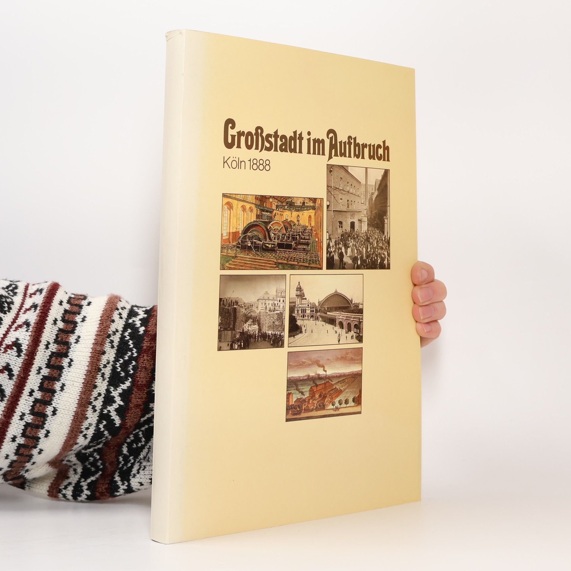 Kolektiv autorů Großstadt im Aufbruch