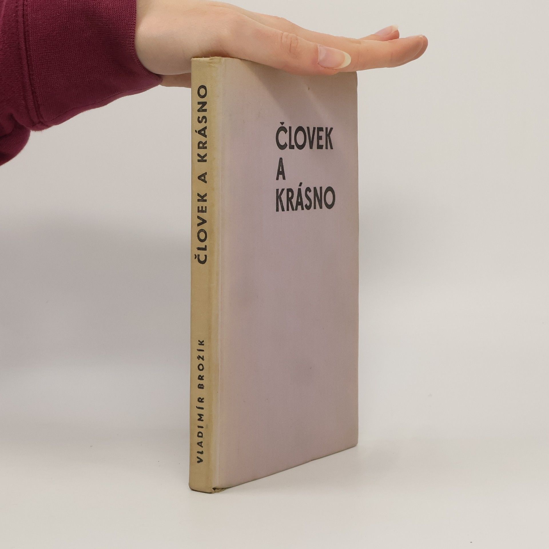 Vladimír Brožík Človek a krásno