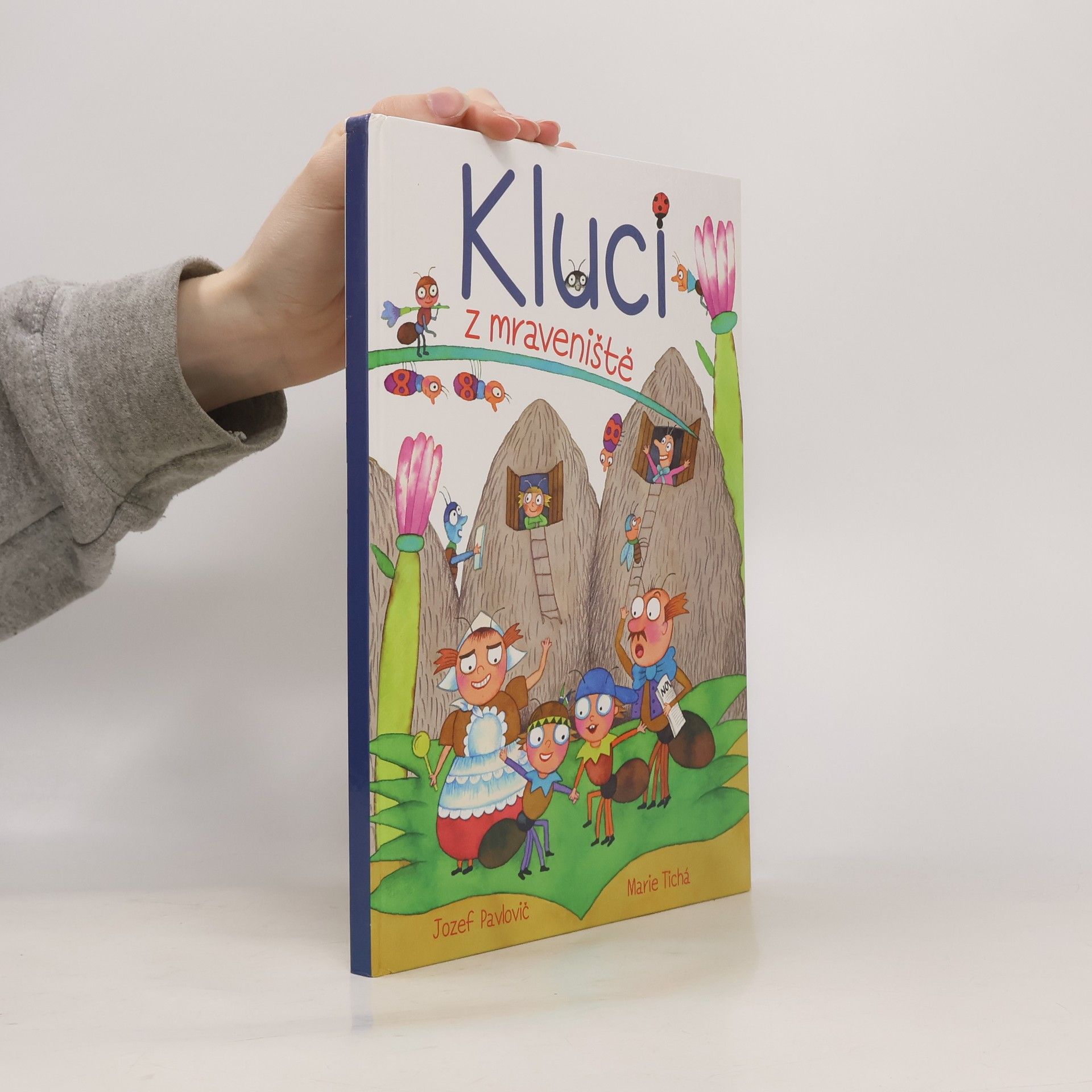 Marie Tichá Kluci z mraveniště