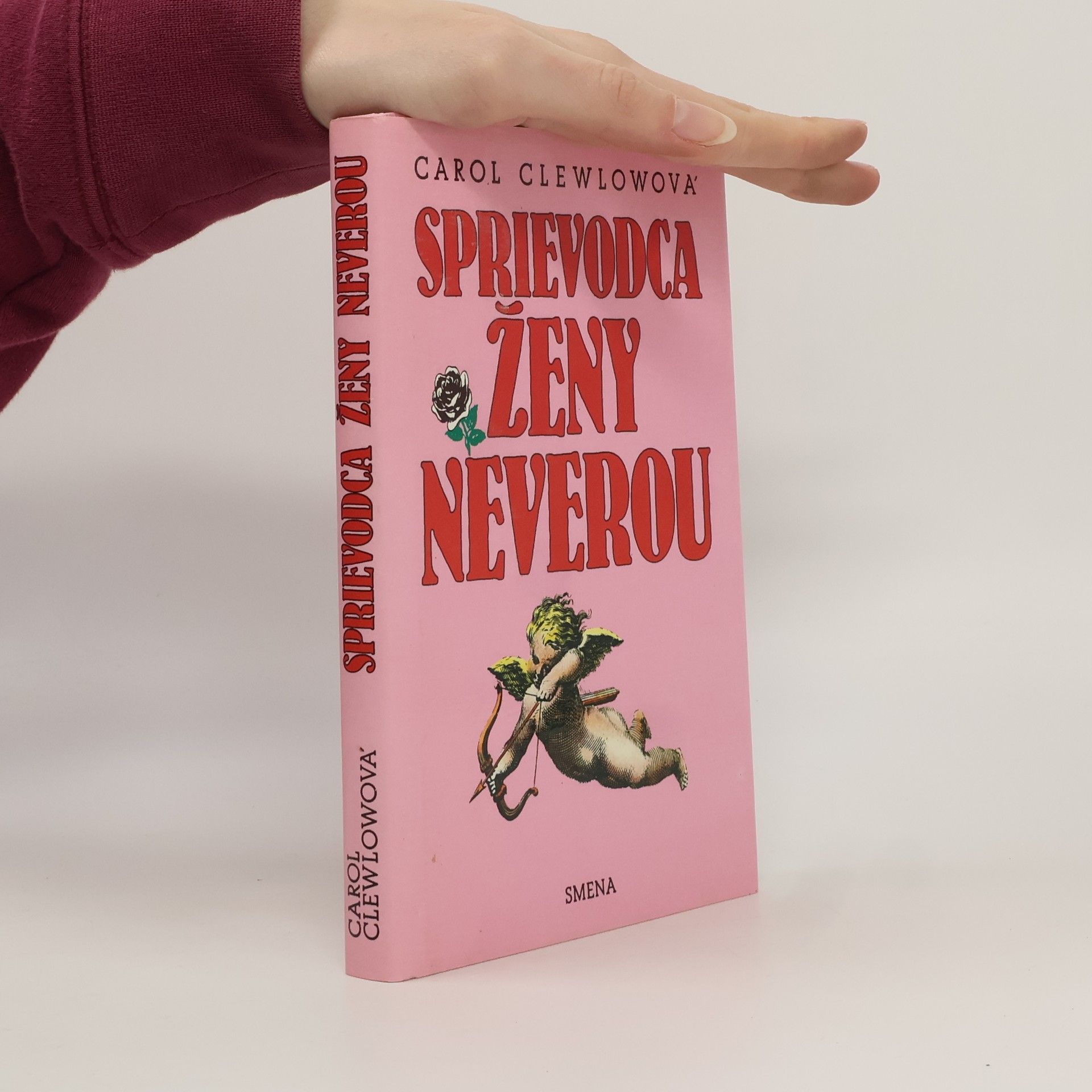 Carol Clewlow Sprievodca ženy neverou