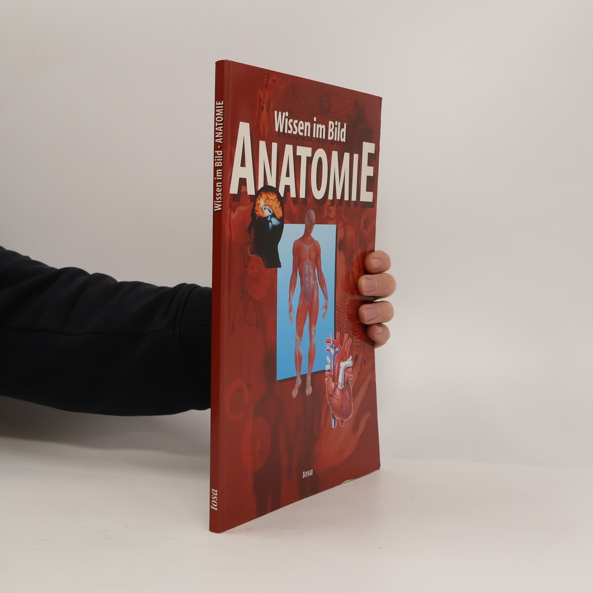 Various authors Wissen im Bild Anatomie