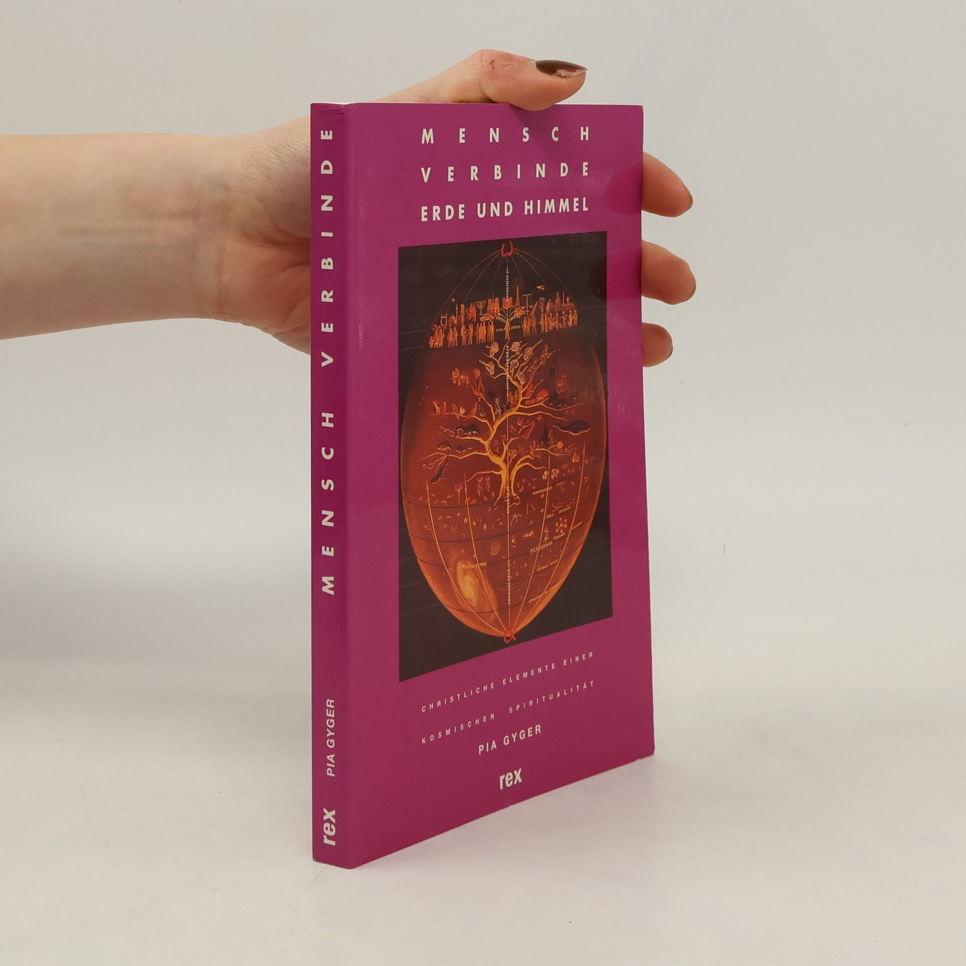 Pia Gyger Mensch verbinde Erde und Himmel. Christliche Elemente einer kosmischen Spiritualität.