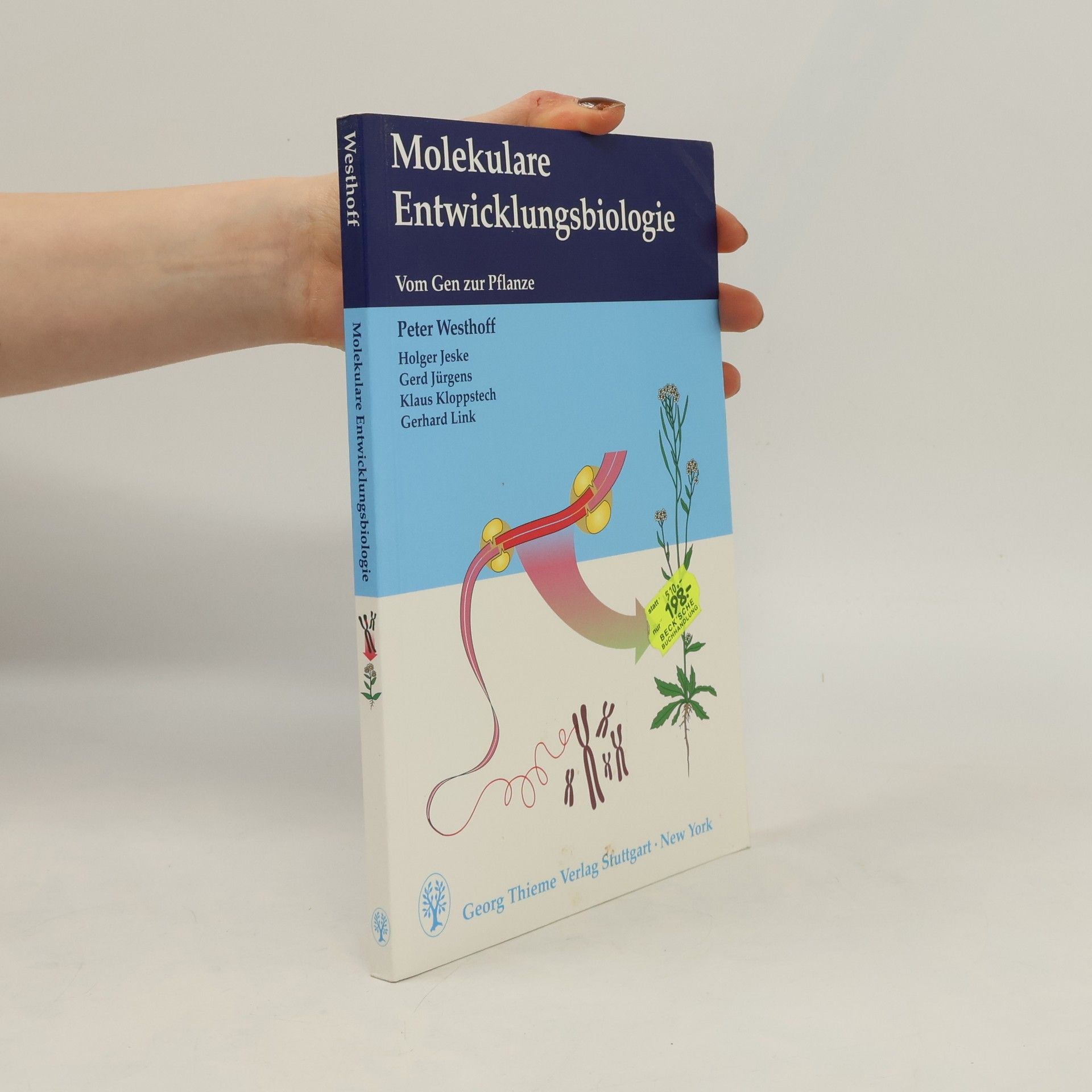 Peter Westhoff Molekulare Entwicklungsbiologie