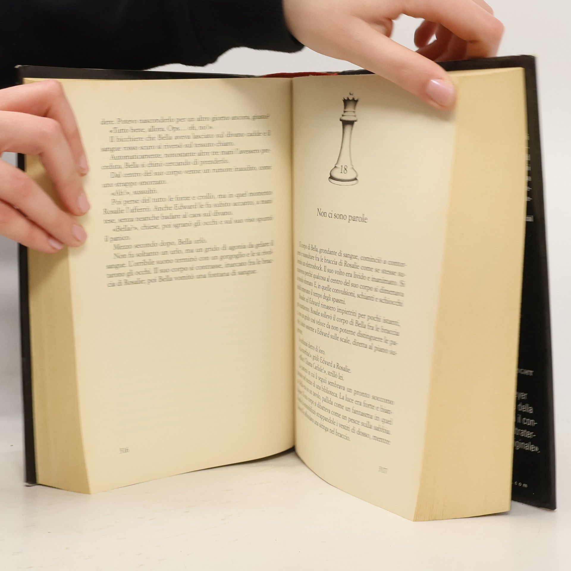 Stephenie Meyer Breaking Dawn