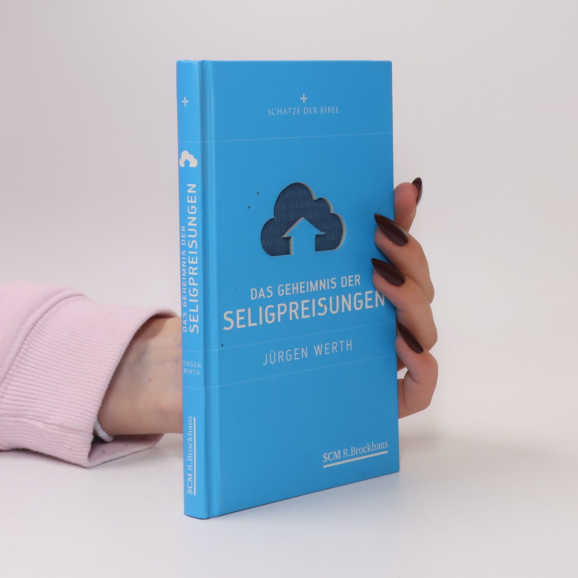 Jürgen Werth Das Geheimnis der Seligpreisungen